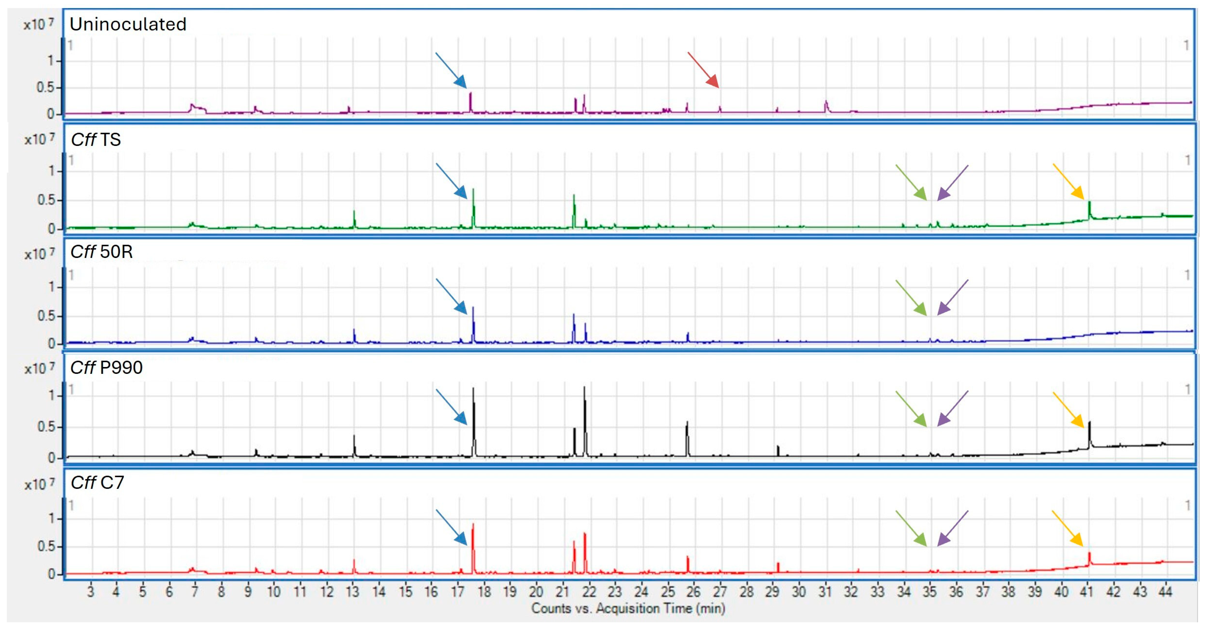 Agronomy 15 00497 g001