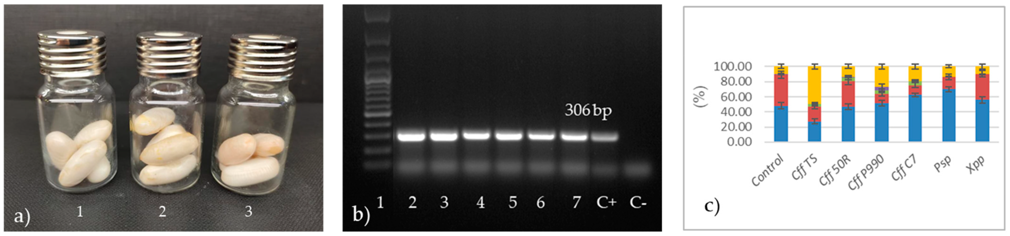 Agronomy 15 00497 g005