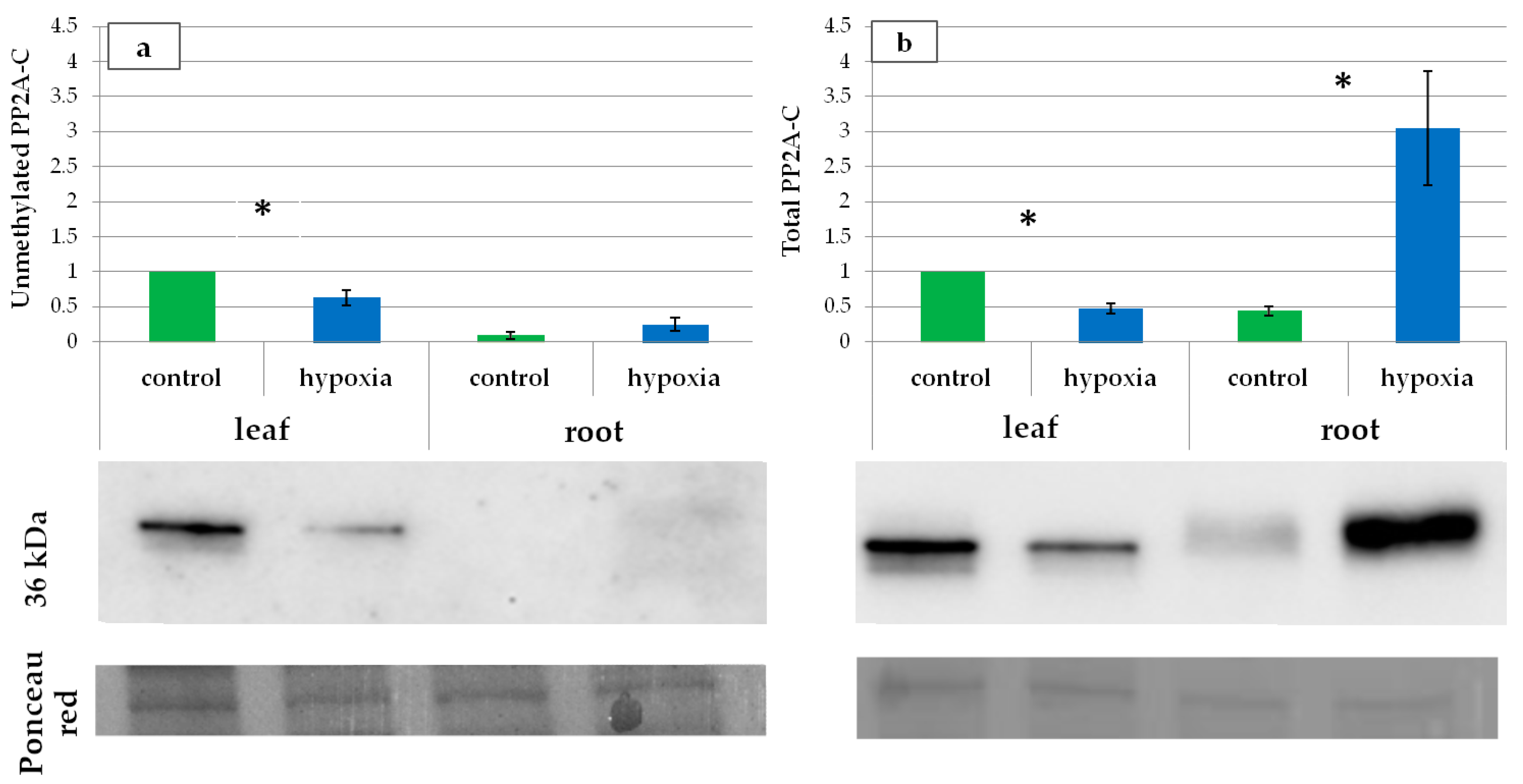 Agronomy 15 00507 g004