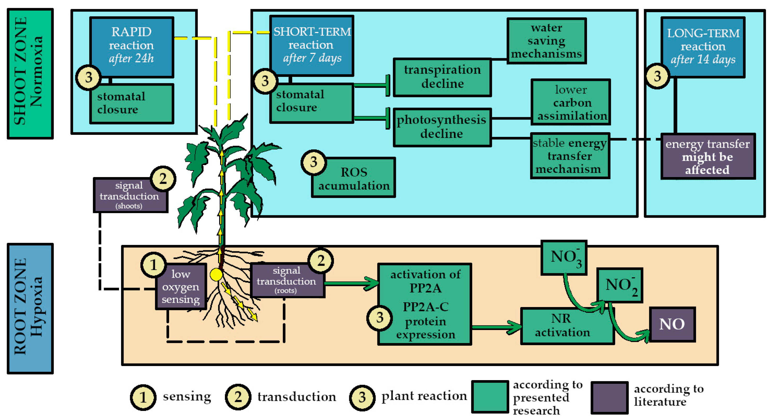 Agronomy 15 00507 g007