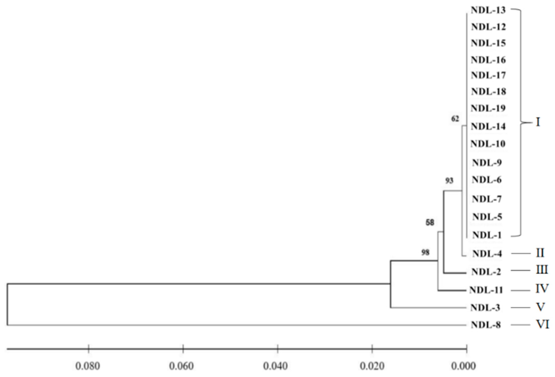Agronomy 15 00508 g002