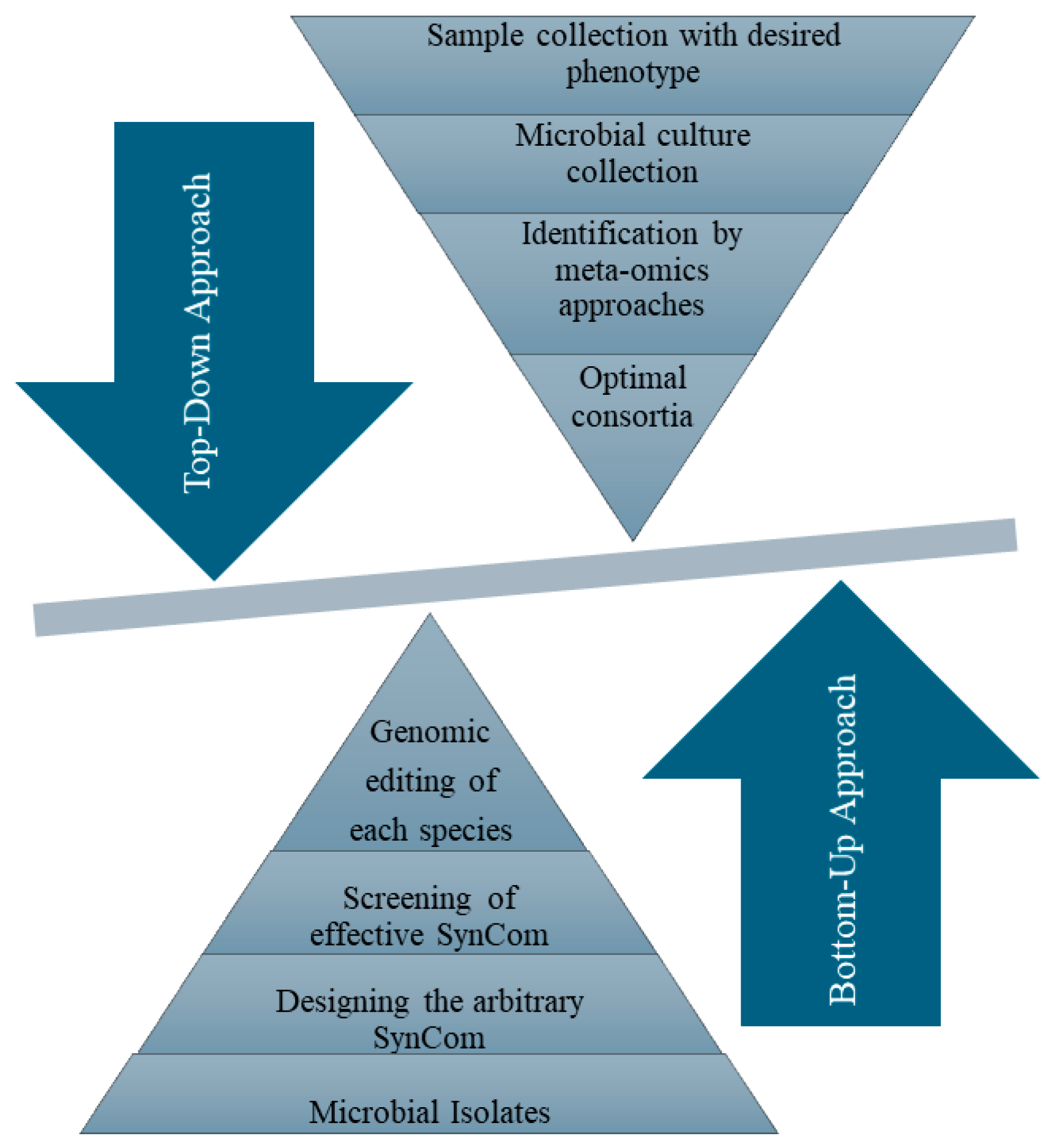 Agronomy 15 00513 g001