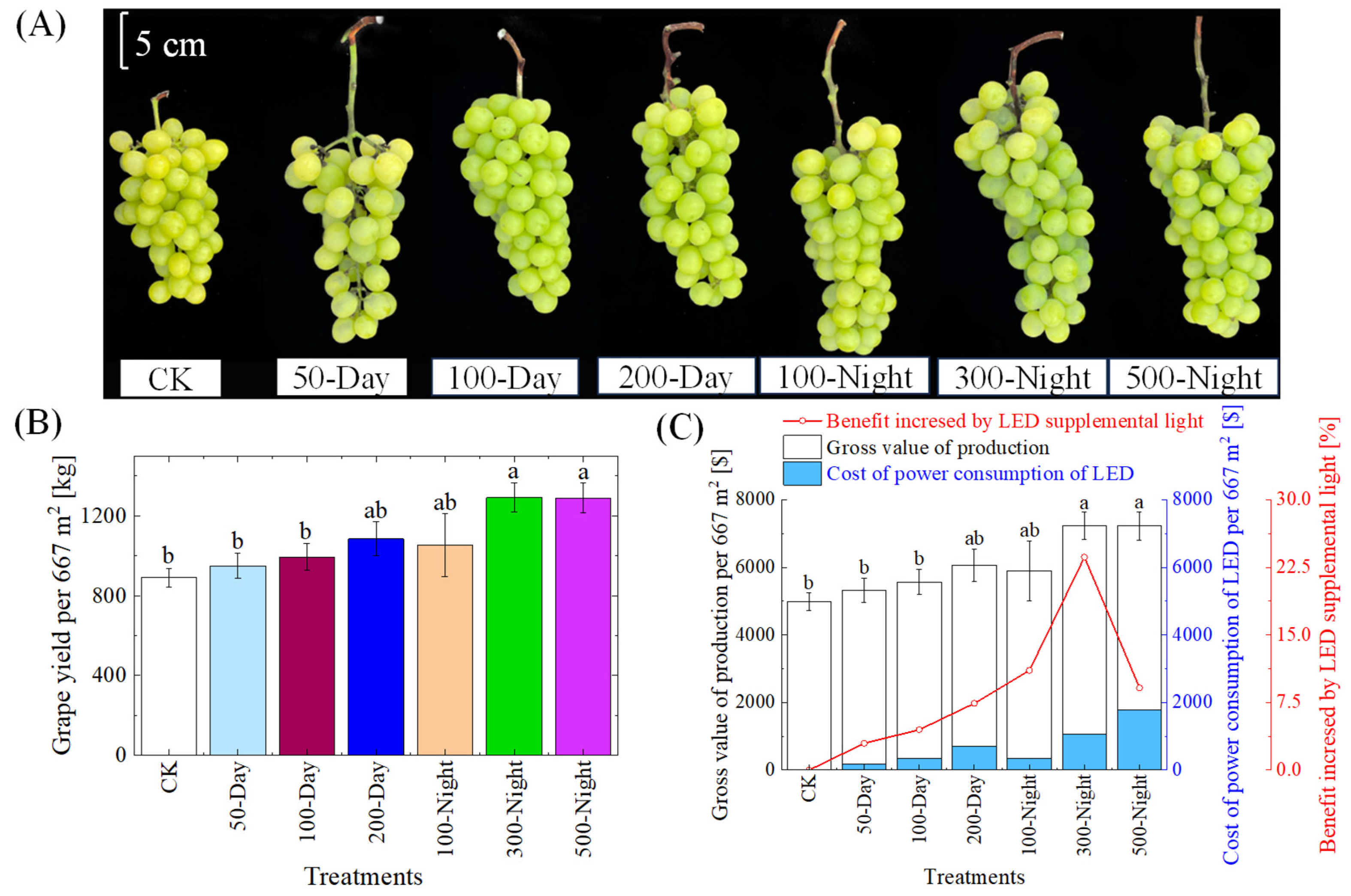 Agronomy 15 00518 g008