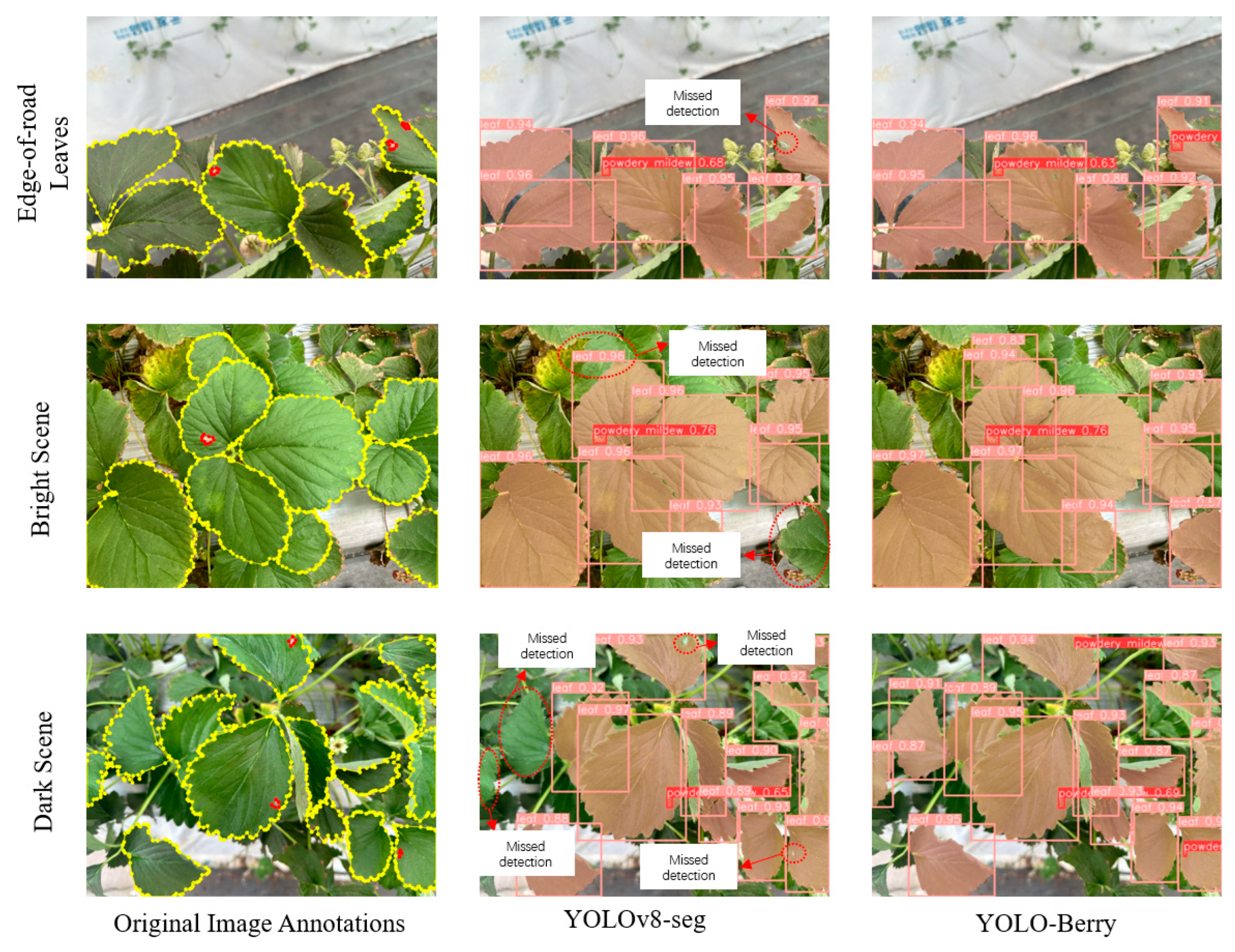 Agronomy 15 00525 g010