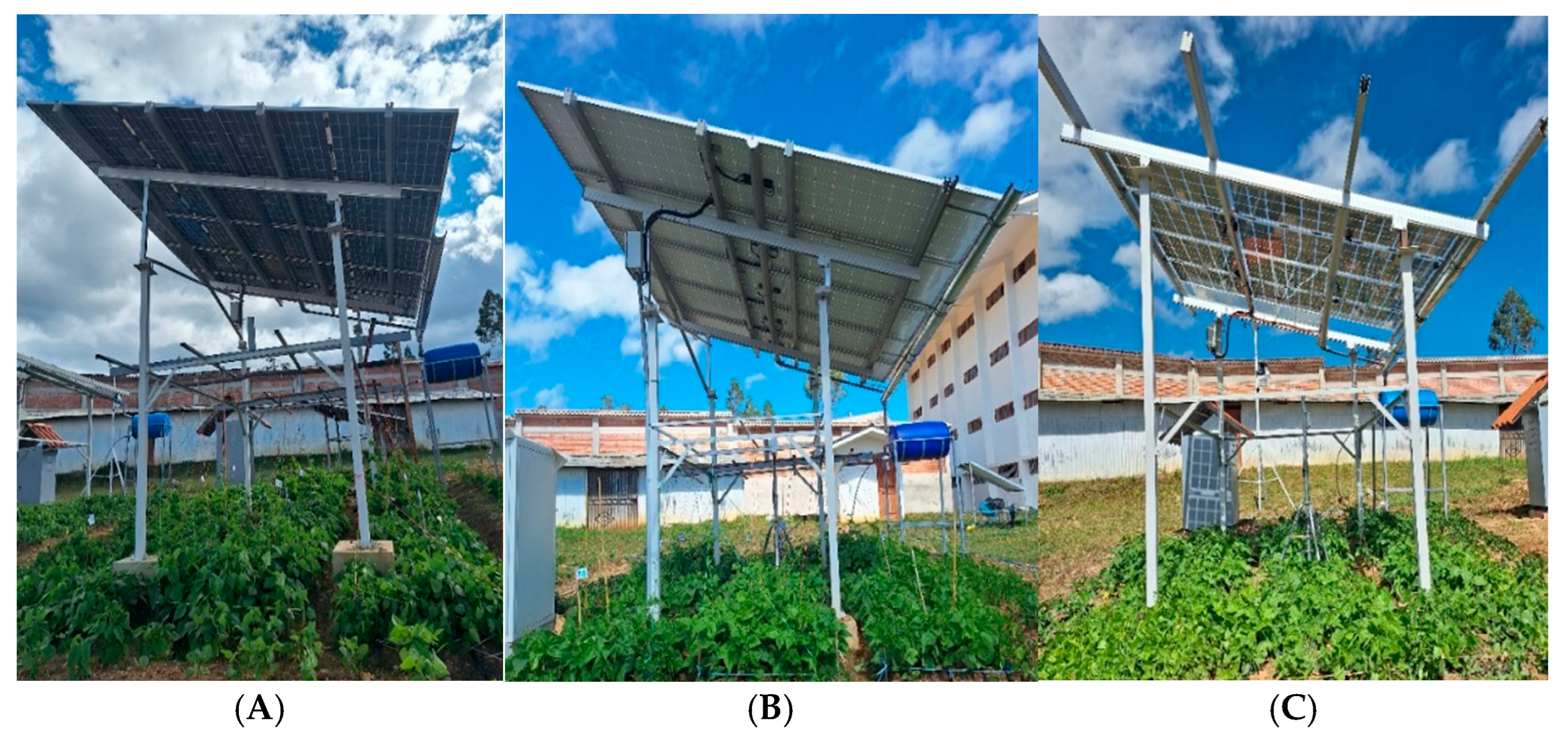 Agronomy 15 00529 g002