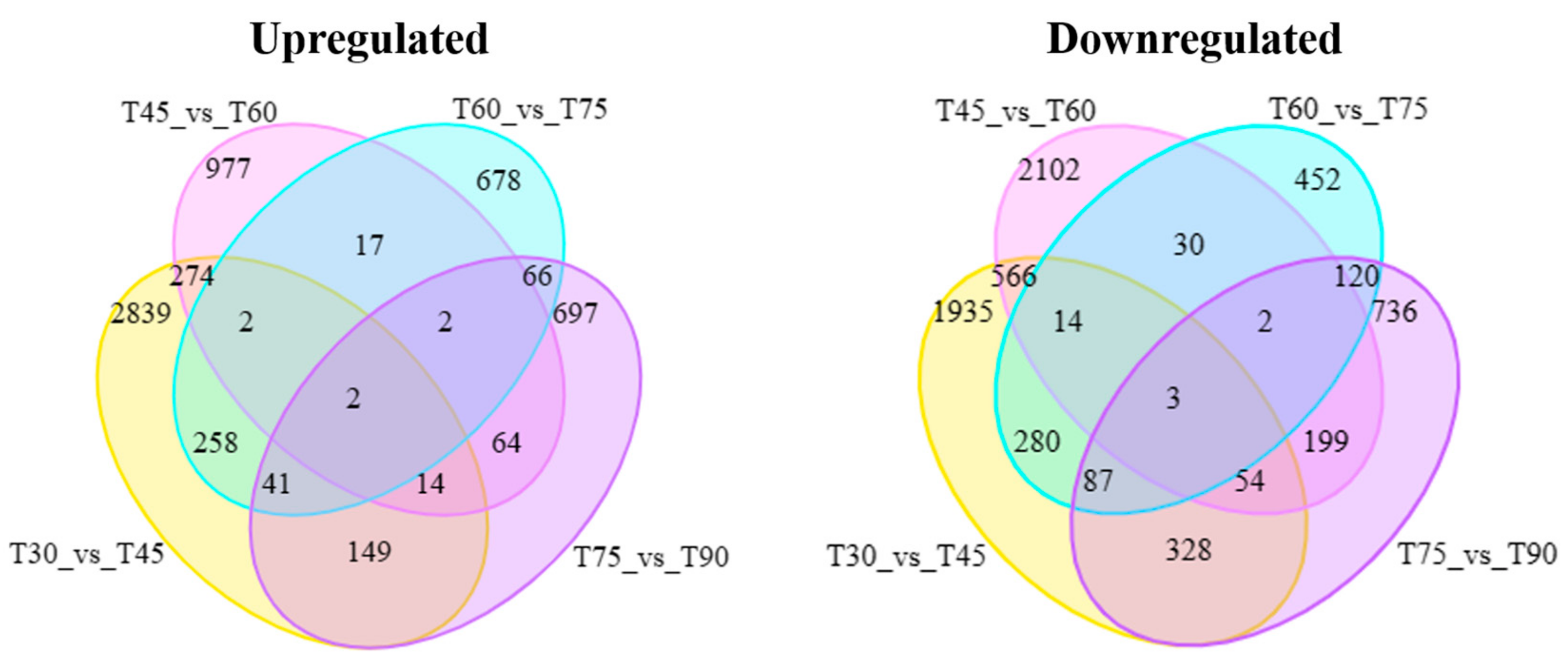 Agronomy 15 00530 g004