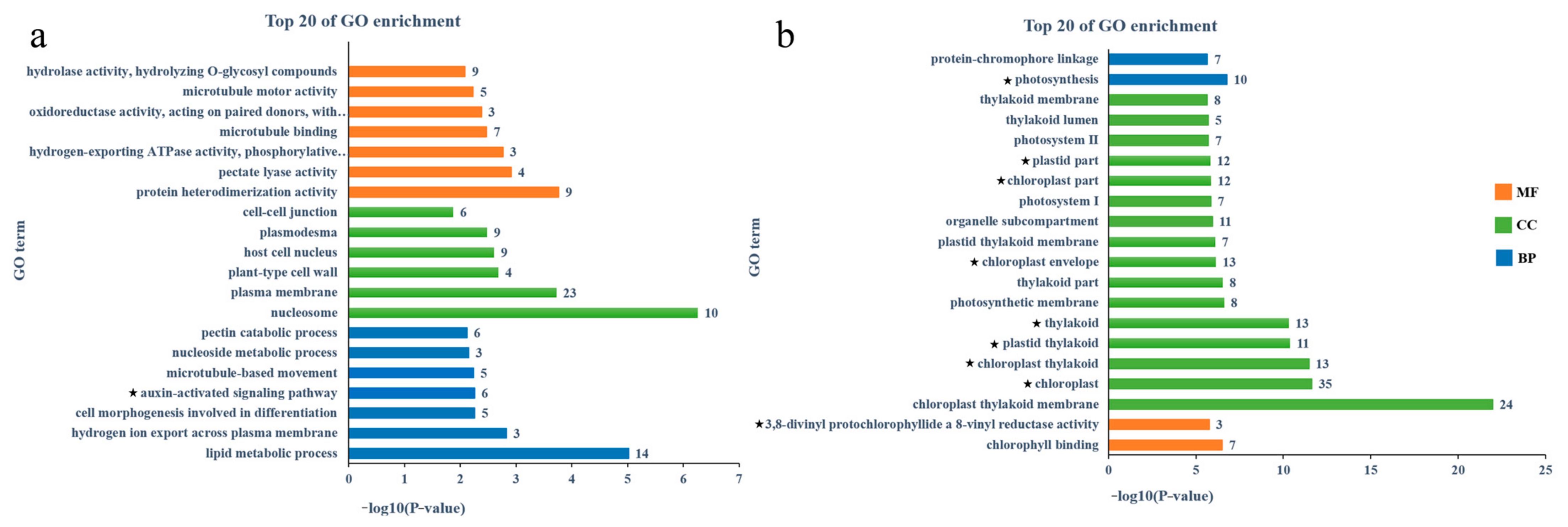 Agronomy 15 00530 g007