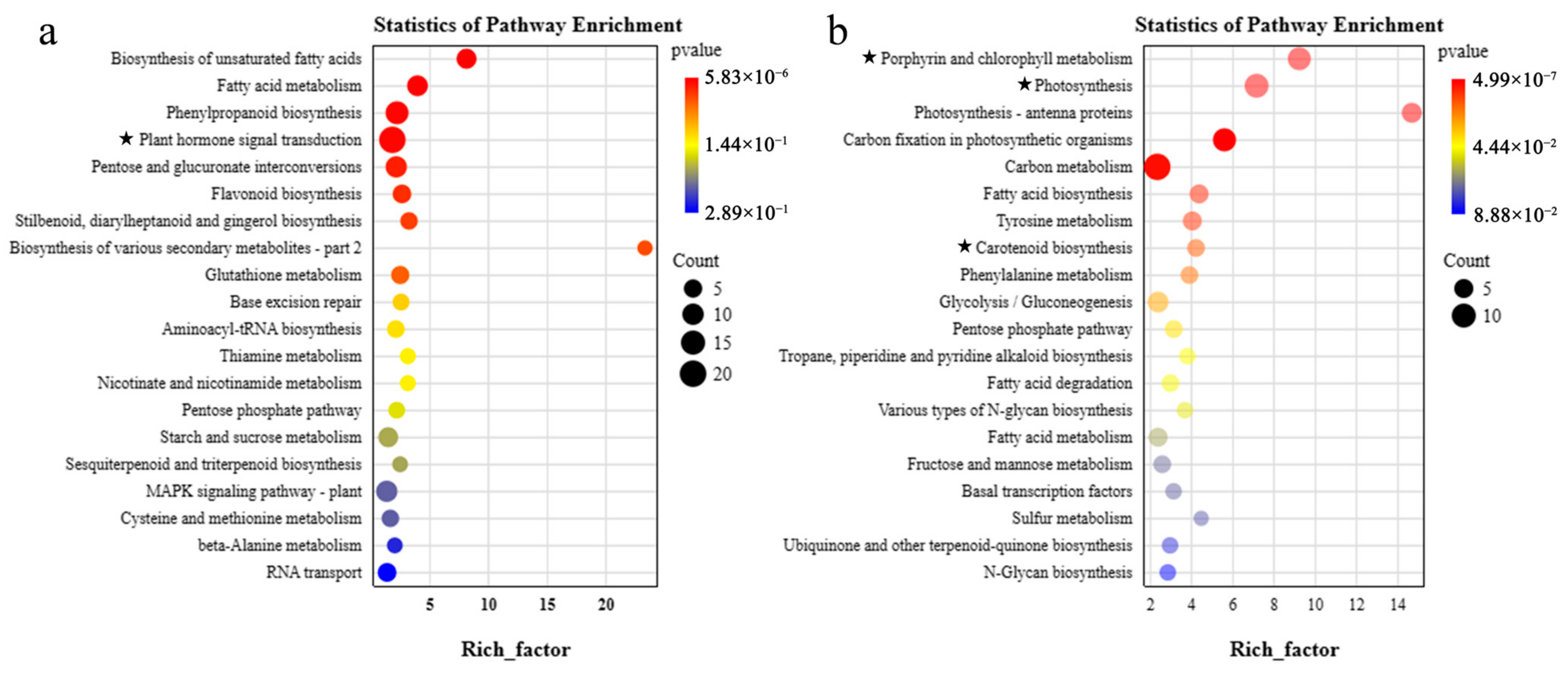 Agronomy 15 00530 g008