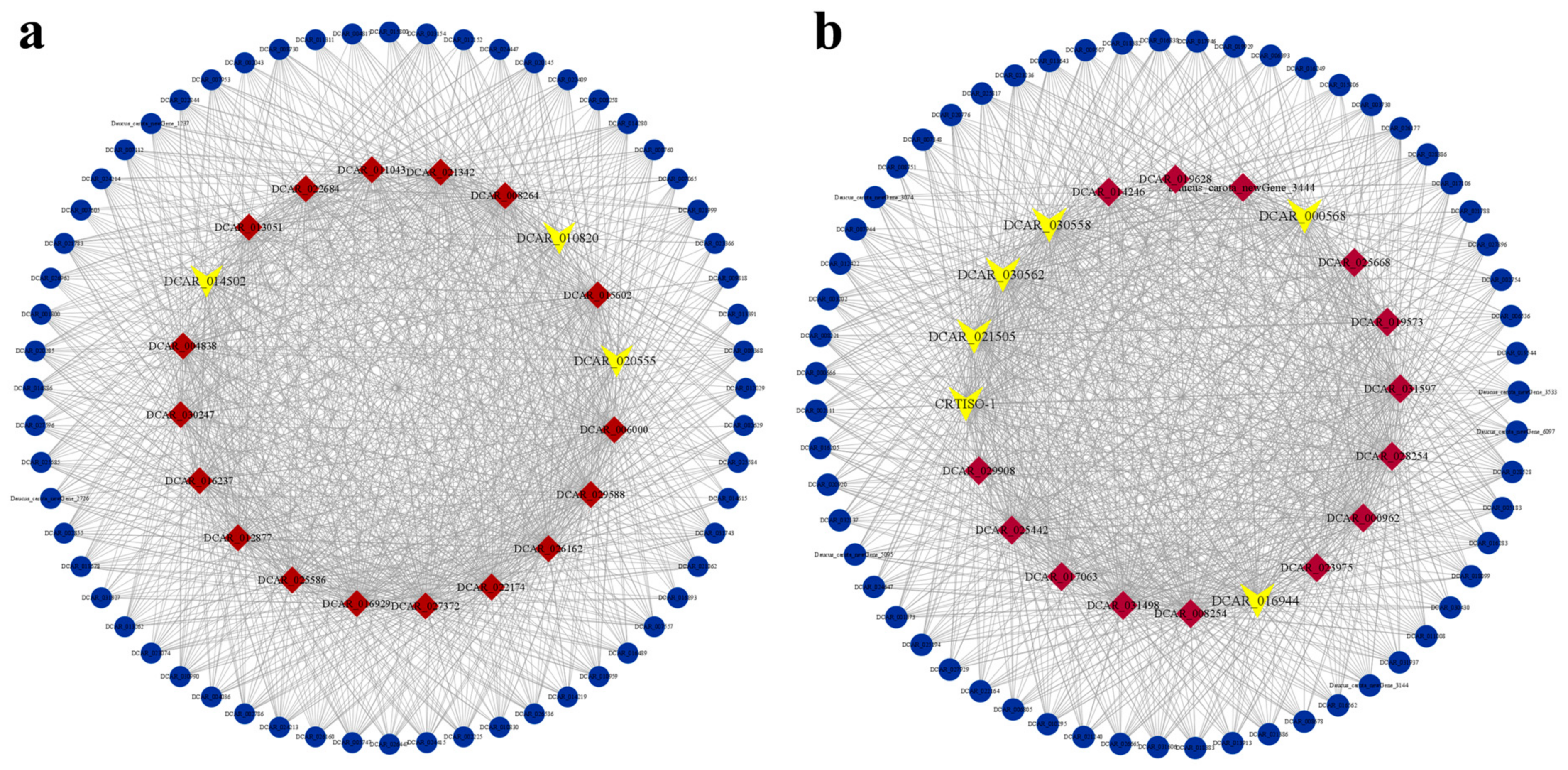 Agronomy 15 00530 g009