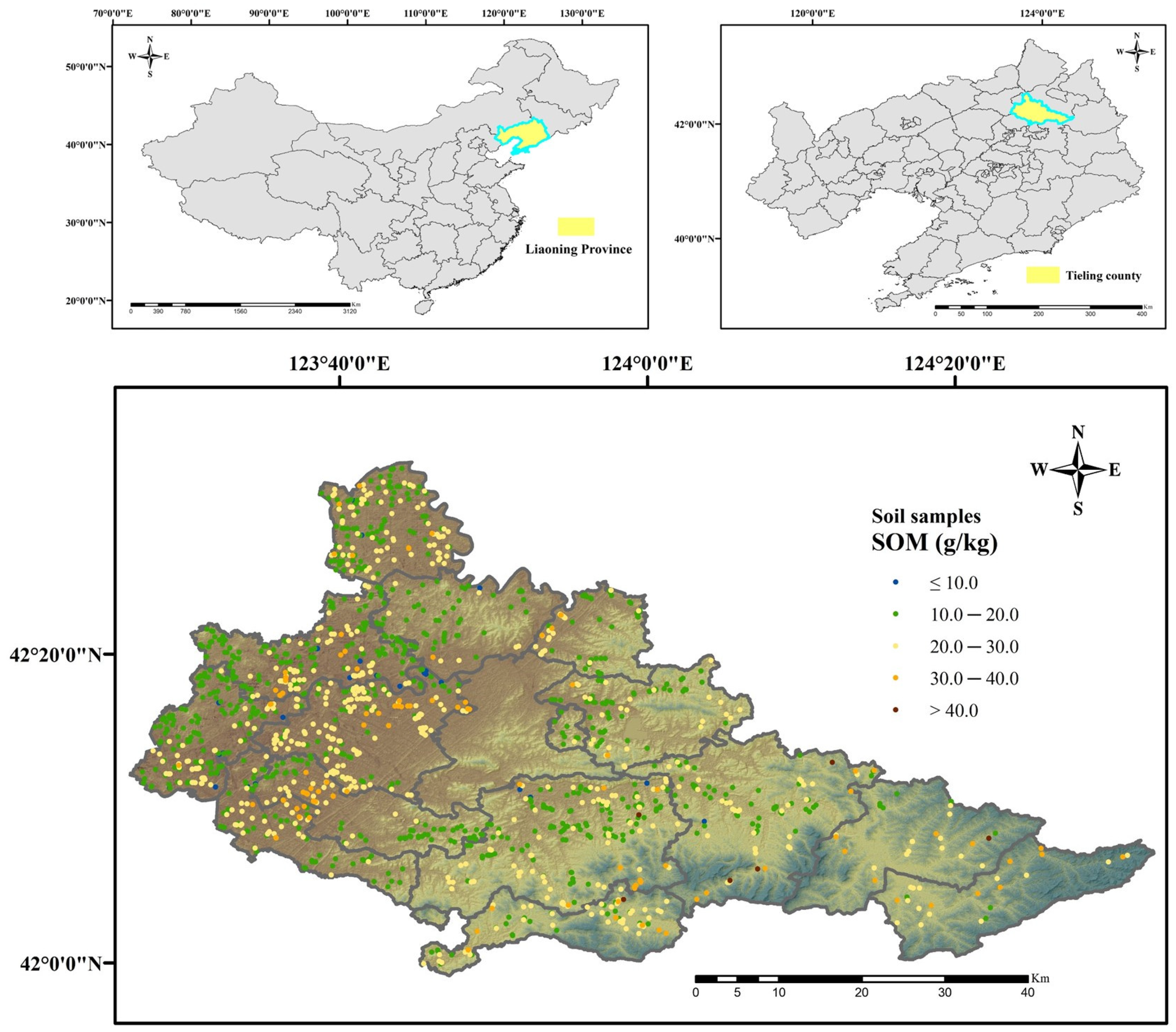 Agronomy 15 00533 g001
