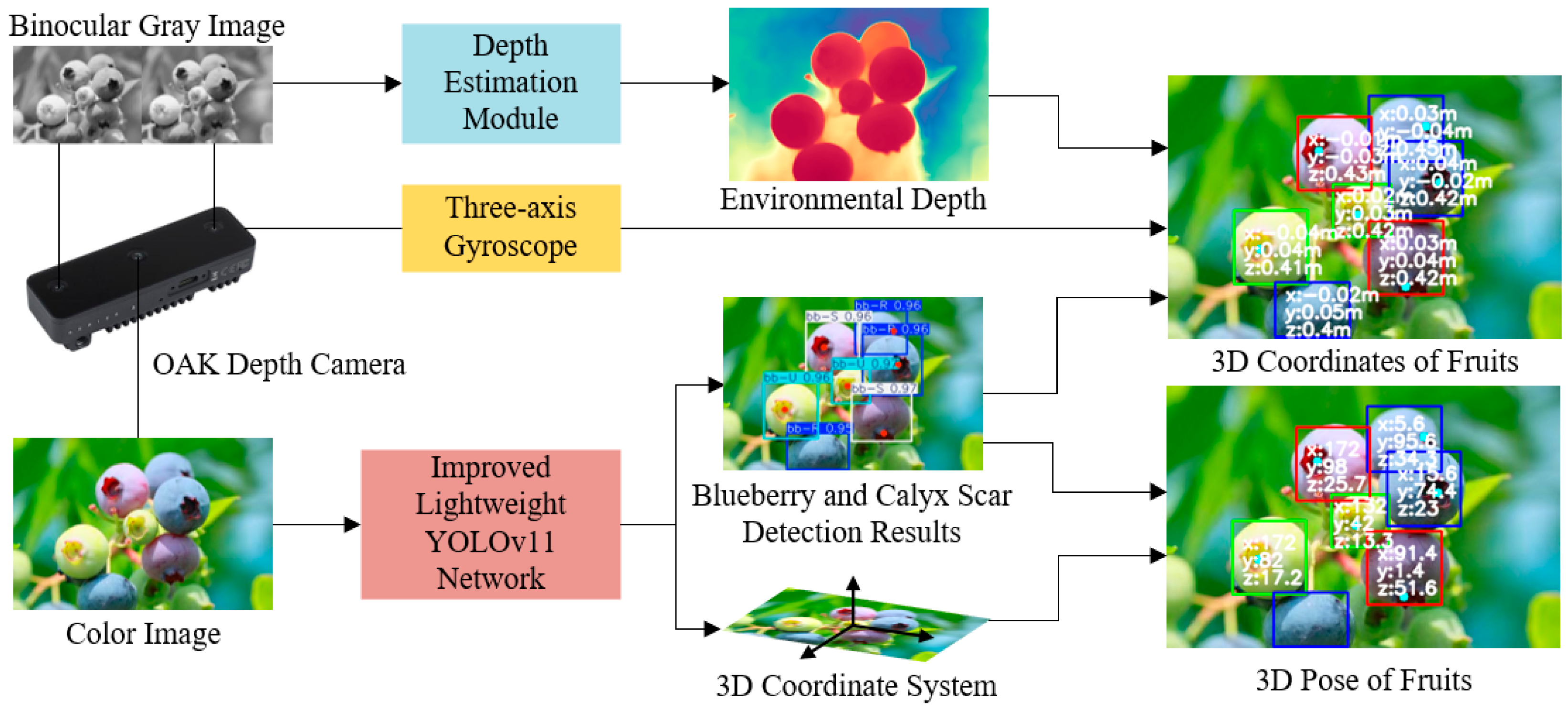 Agronomy 15 00535 g001