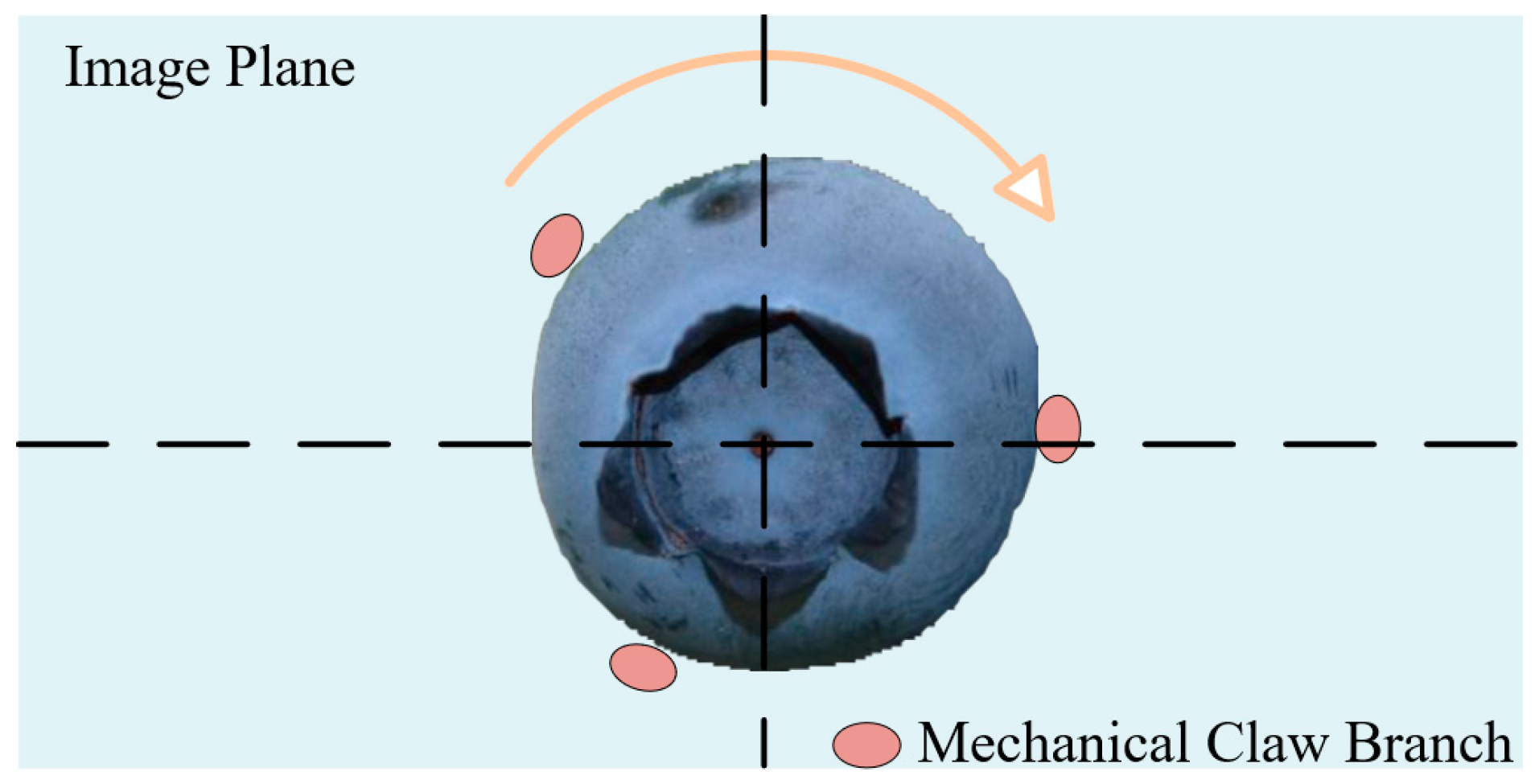 Agronomy 15 00535 g008
