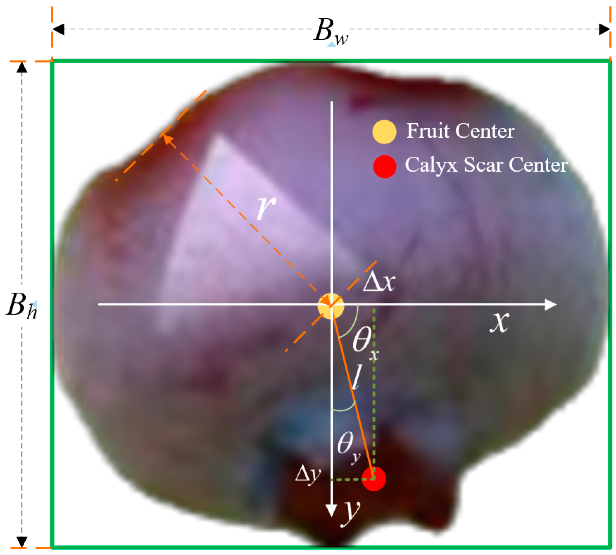 Agronomy 15 00535 g009