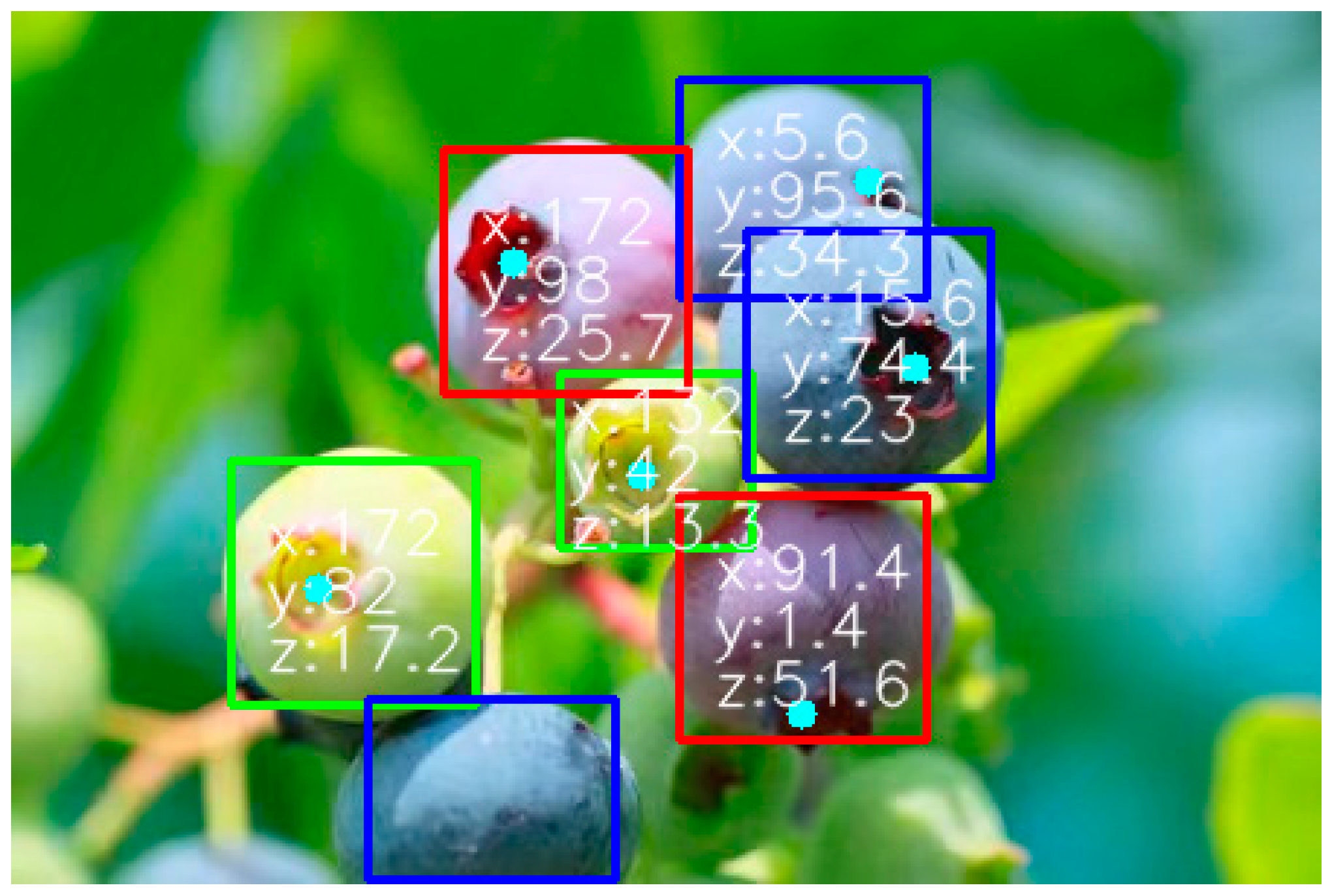 Agronomy 15 00535 g011