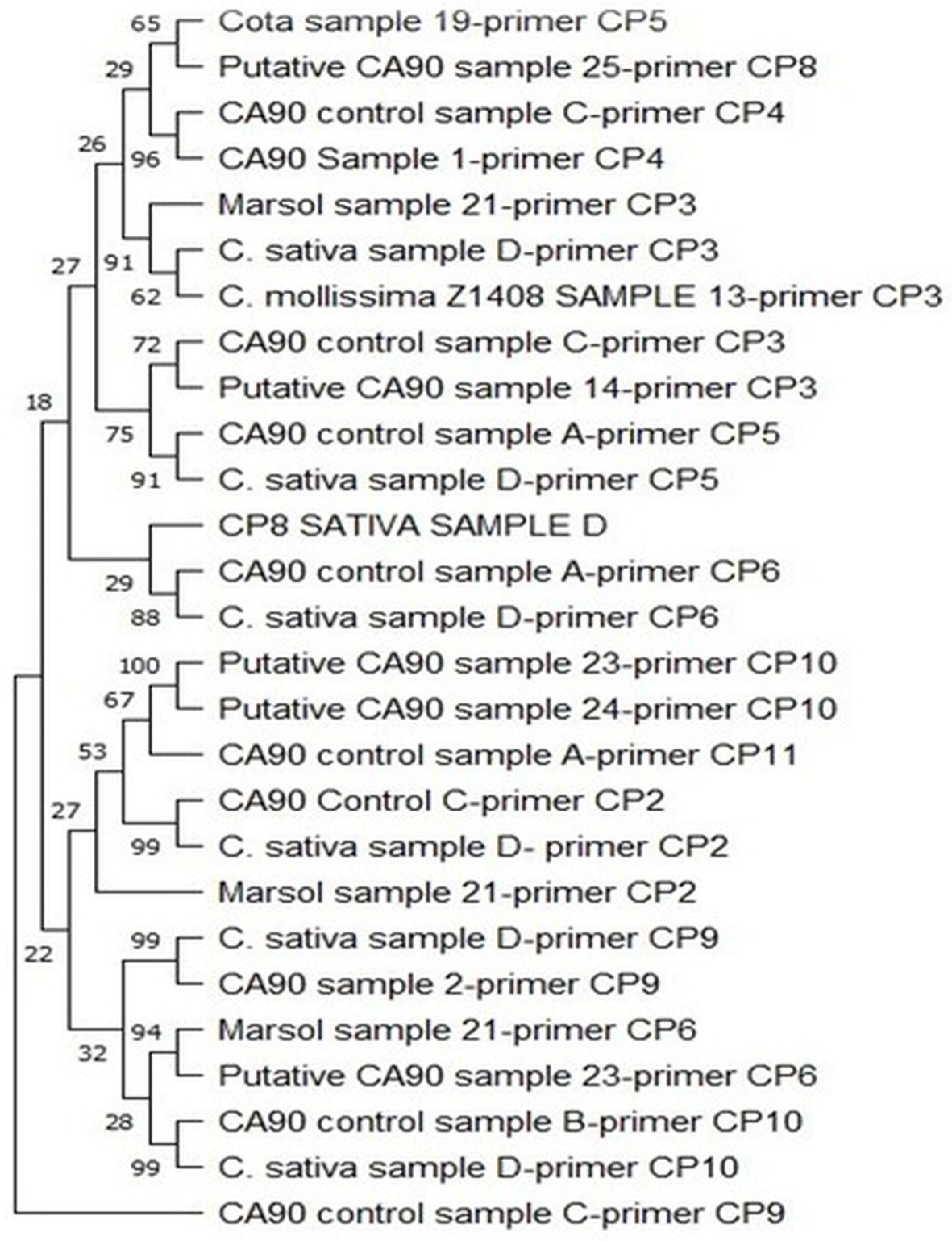 Agronomy 15 00543 g002 Agronomy 15 00543 g002