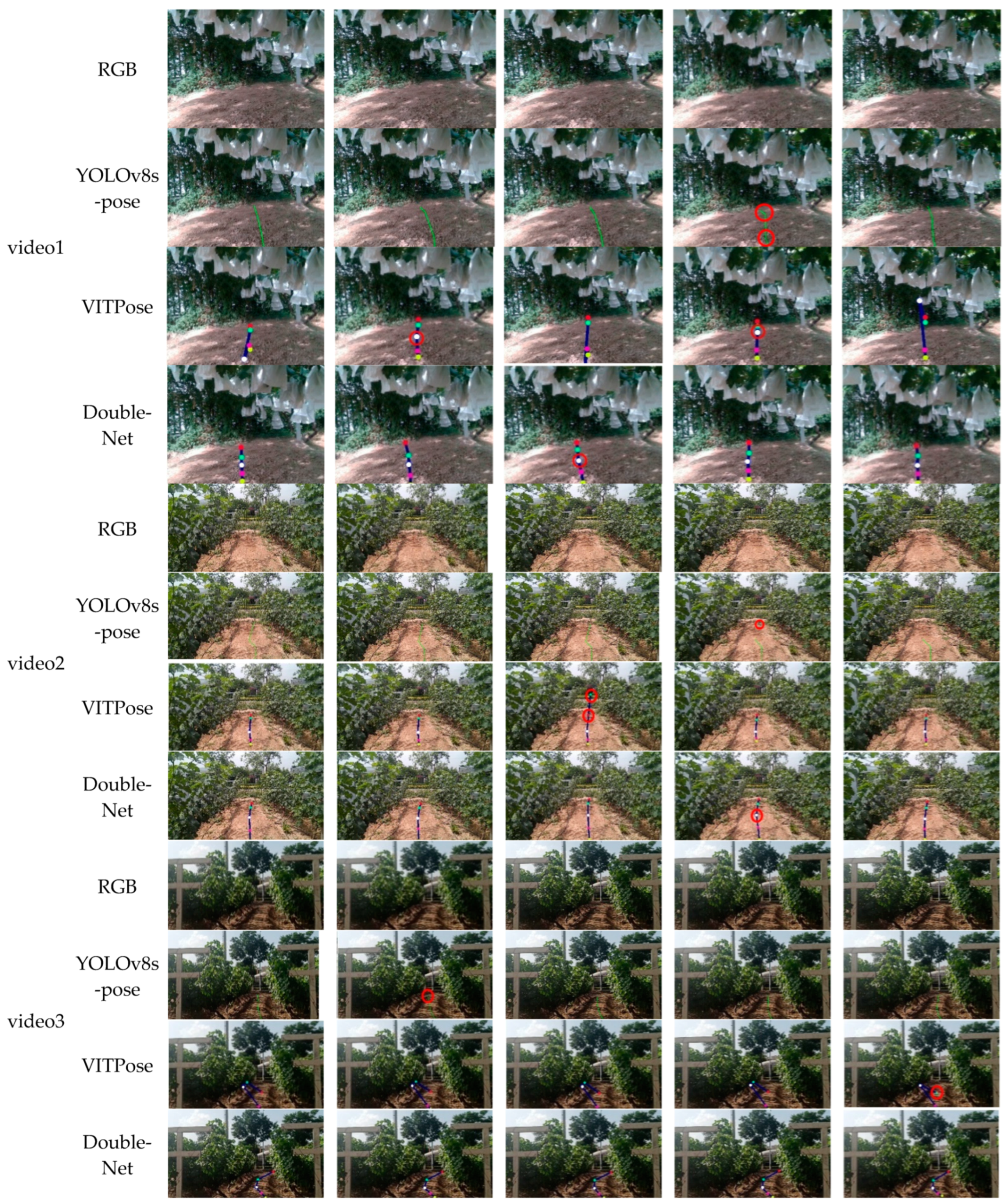 Agronomy 15 00544 g011