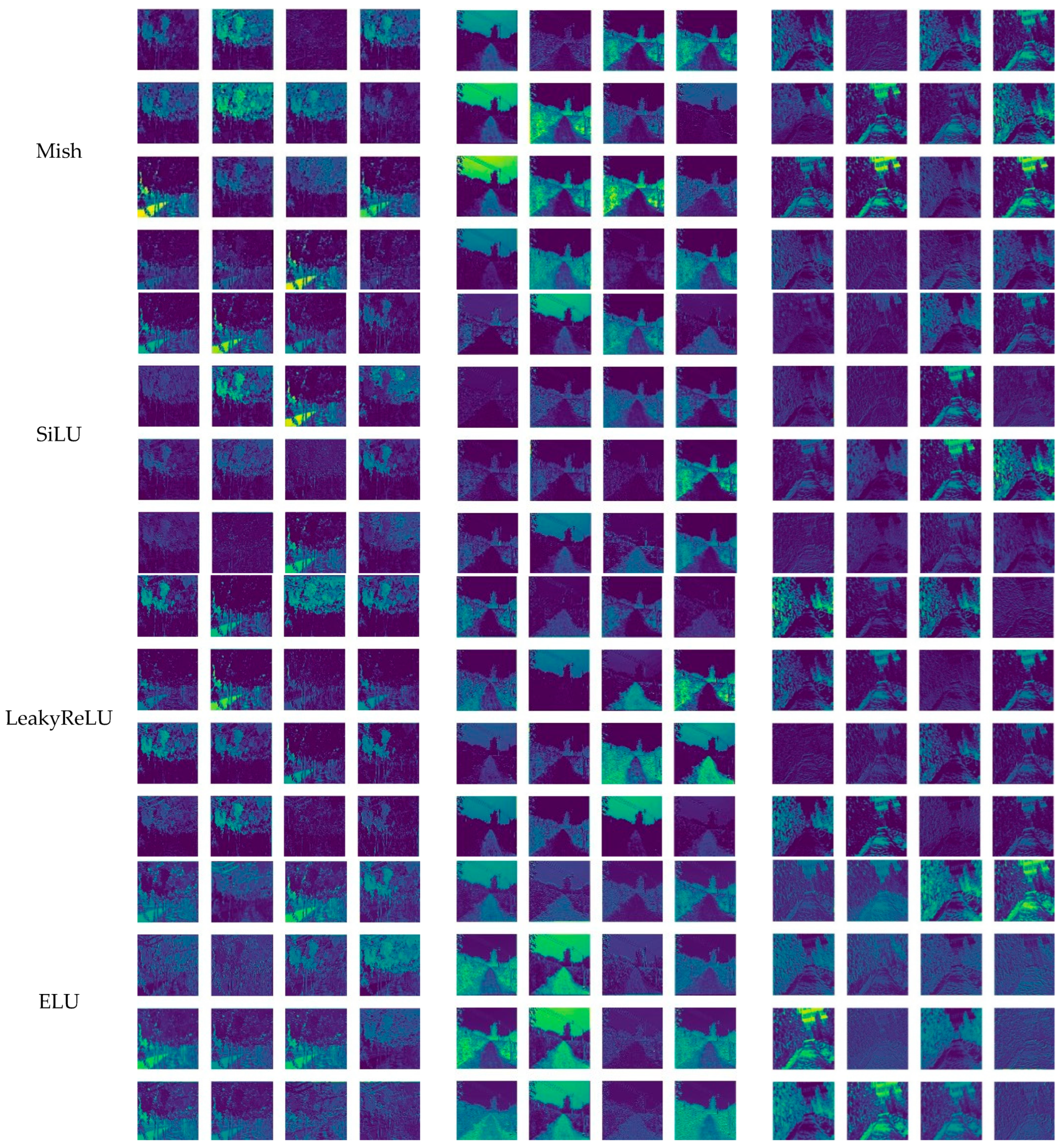 Agronomy 15 00544 g012b