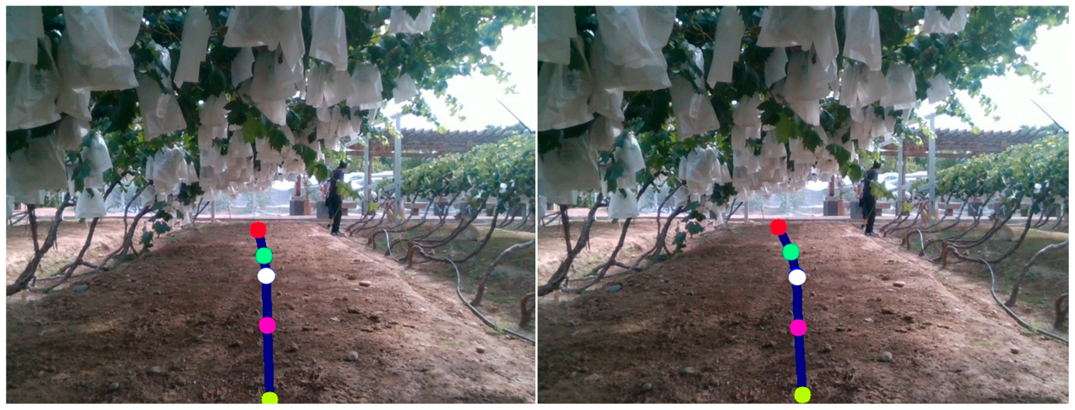 Agronomy 15 00544 g017