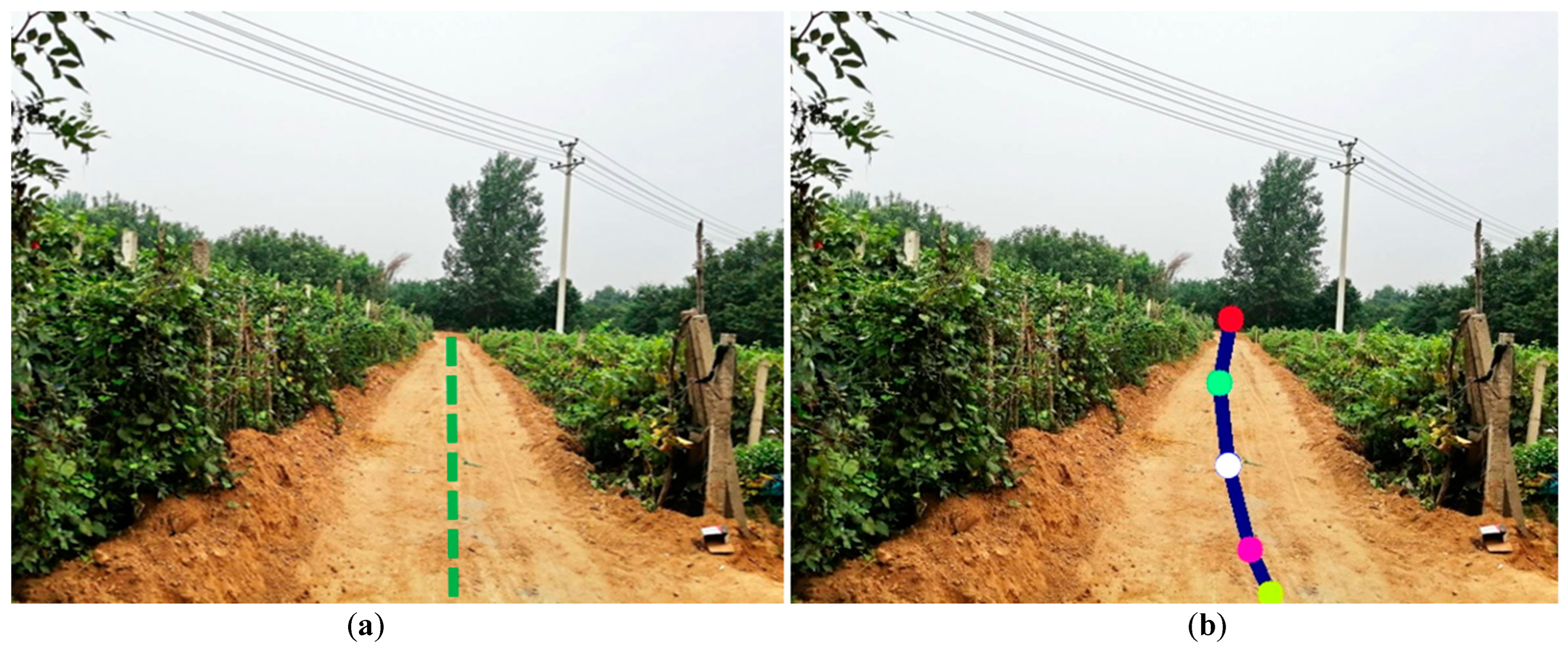 Agronomy 15 00544 g018