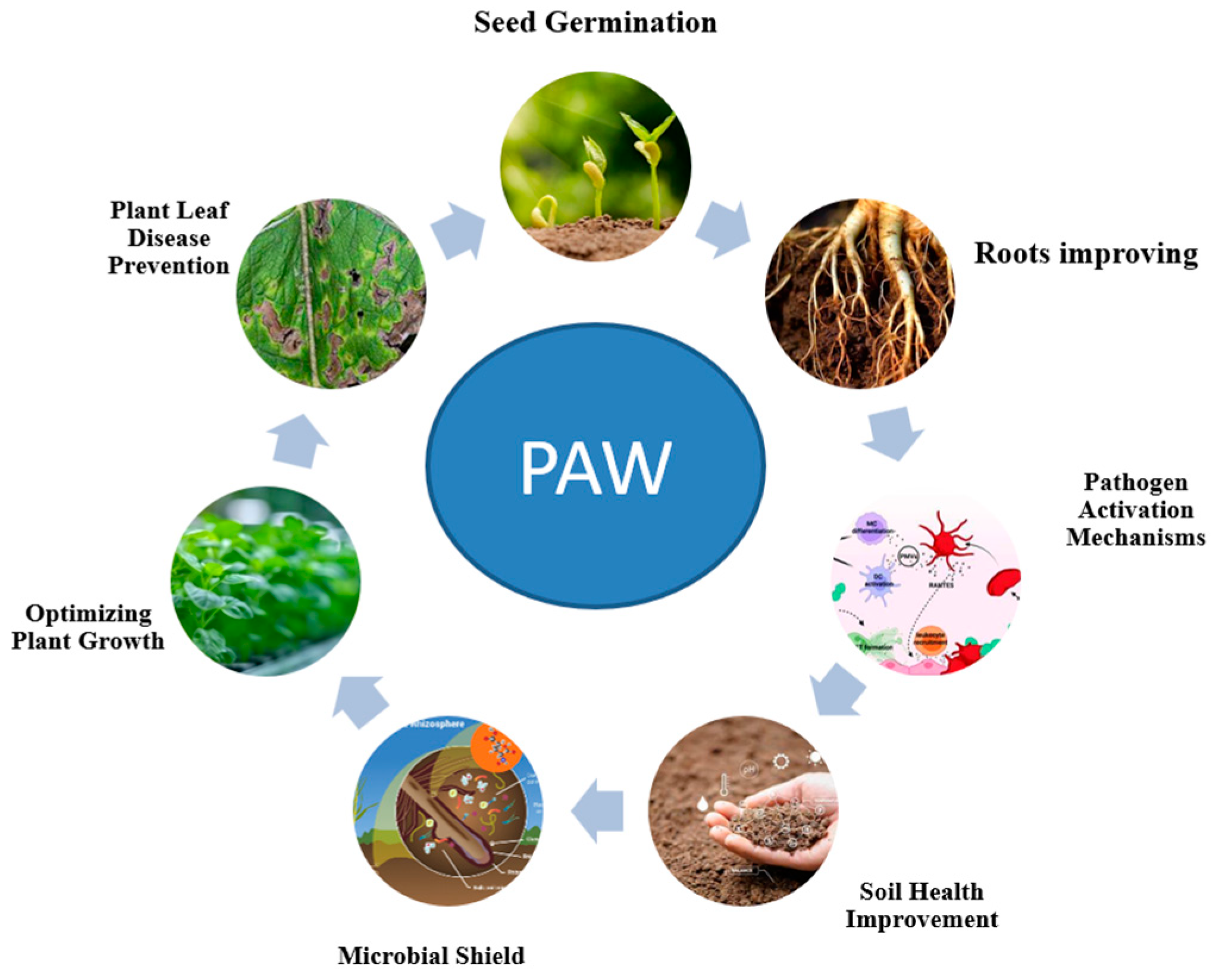 Agronomy 15 00546 g004