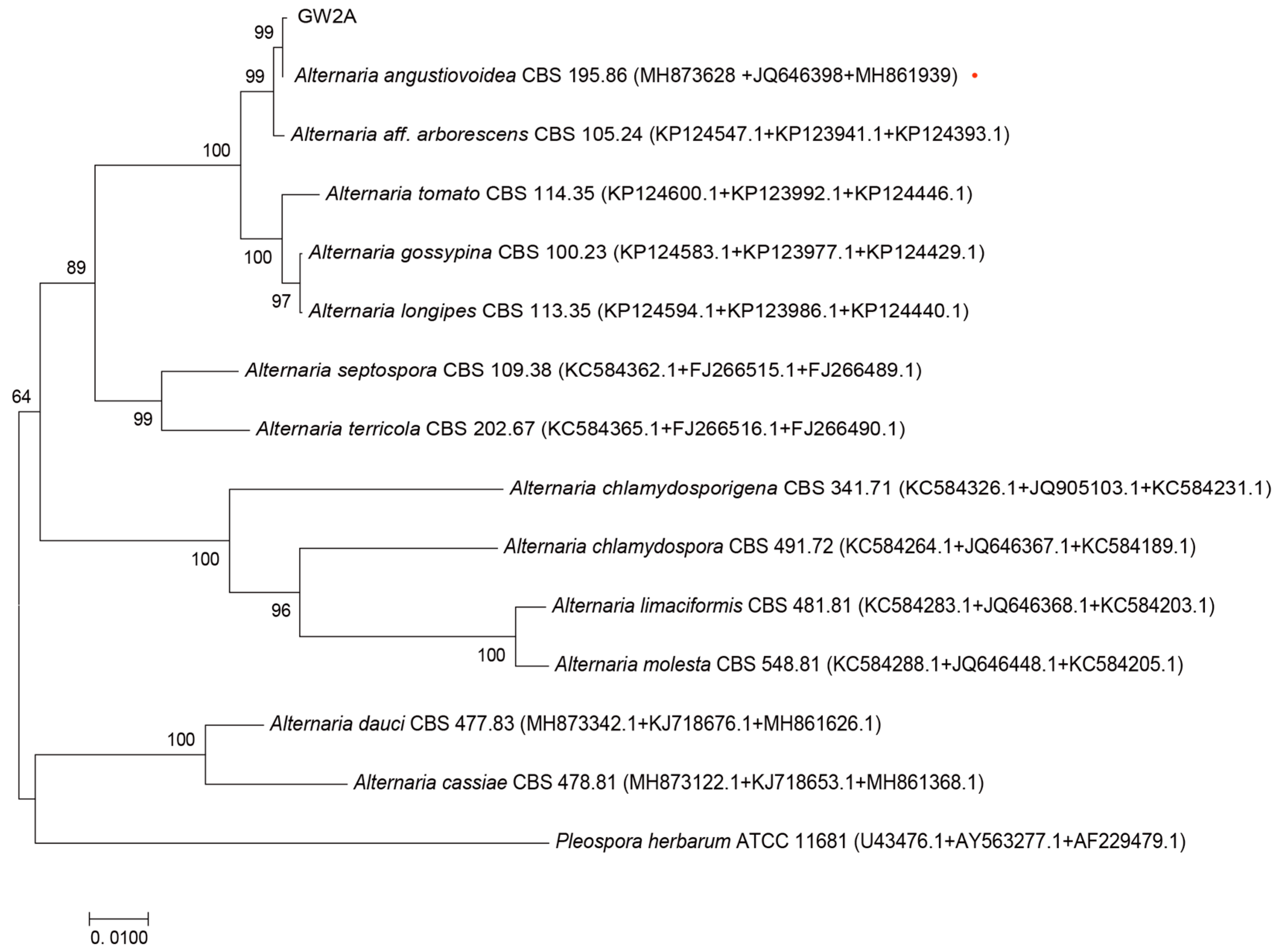 Agronomy 15 00547 g002