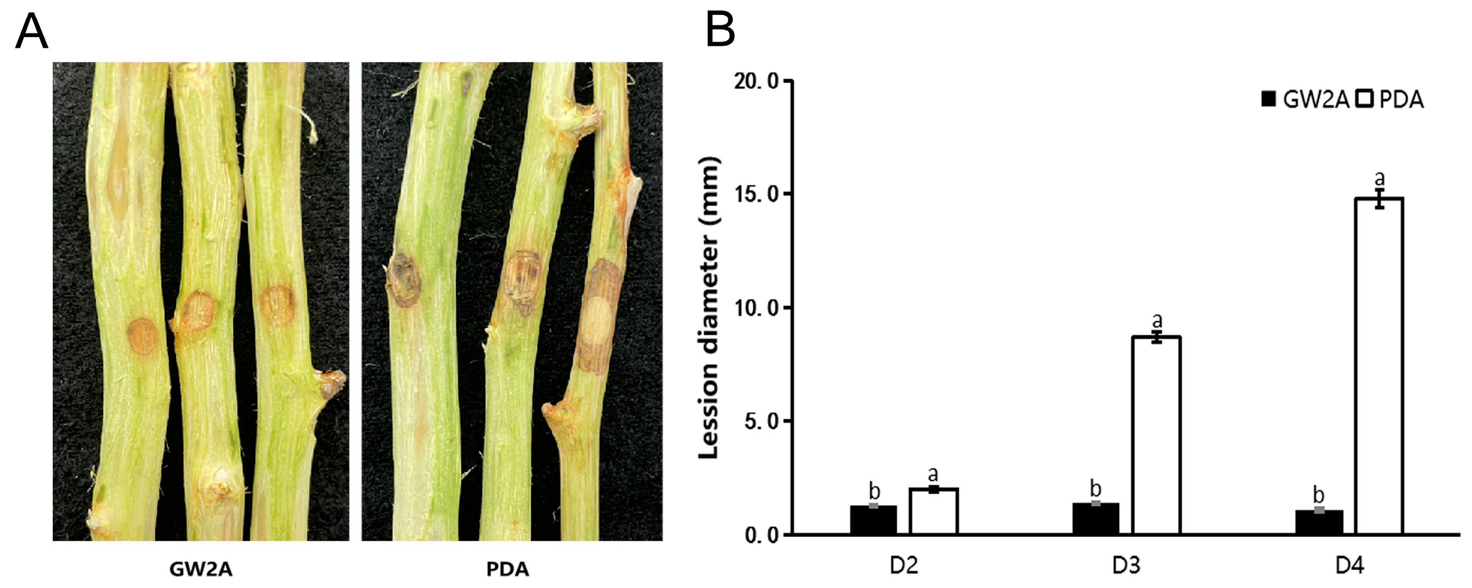 Agronomy 15 00547 g005