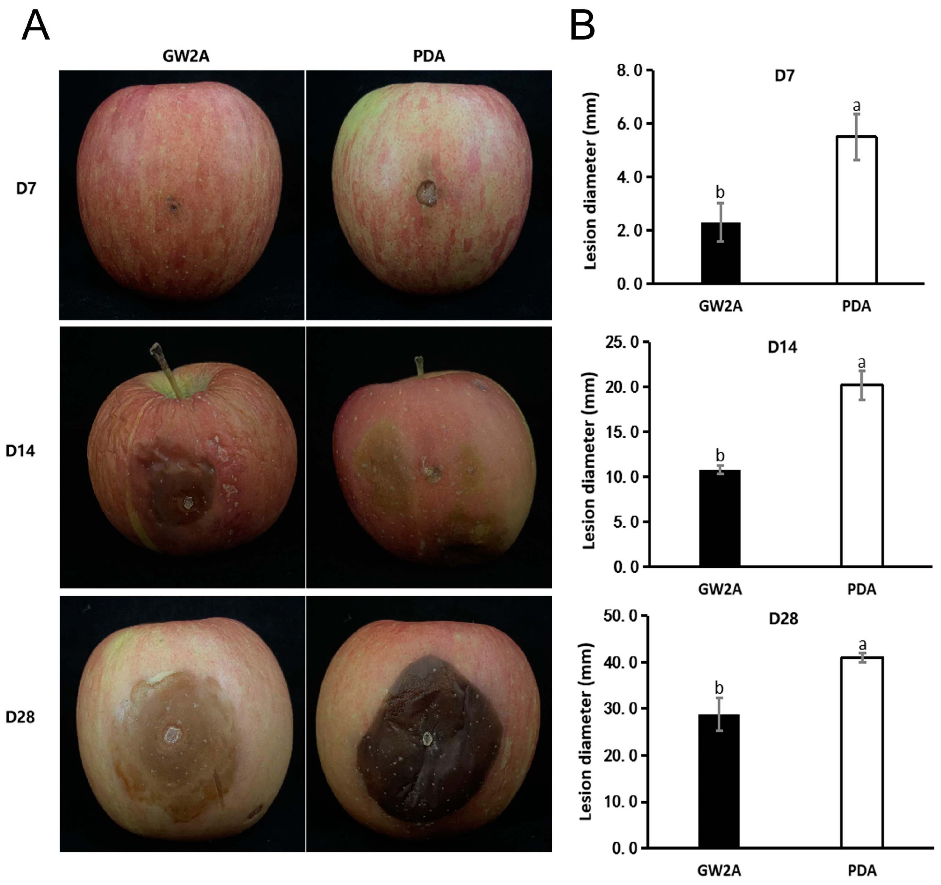 Agronomy 15 00547 g006