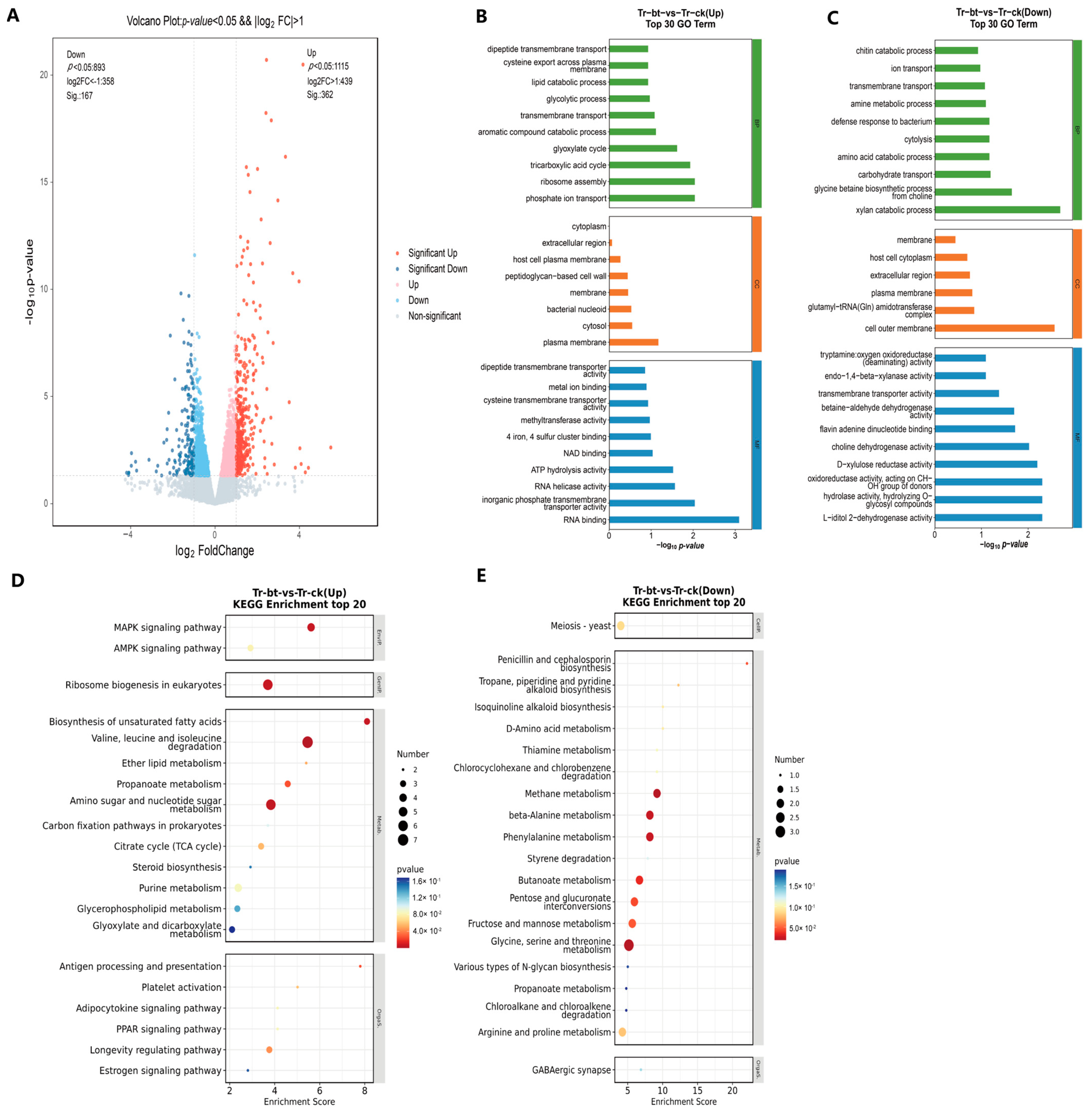 Agronomy 15 00547 g008