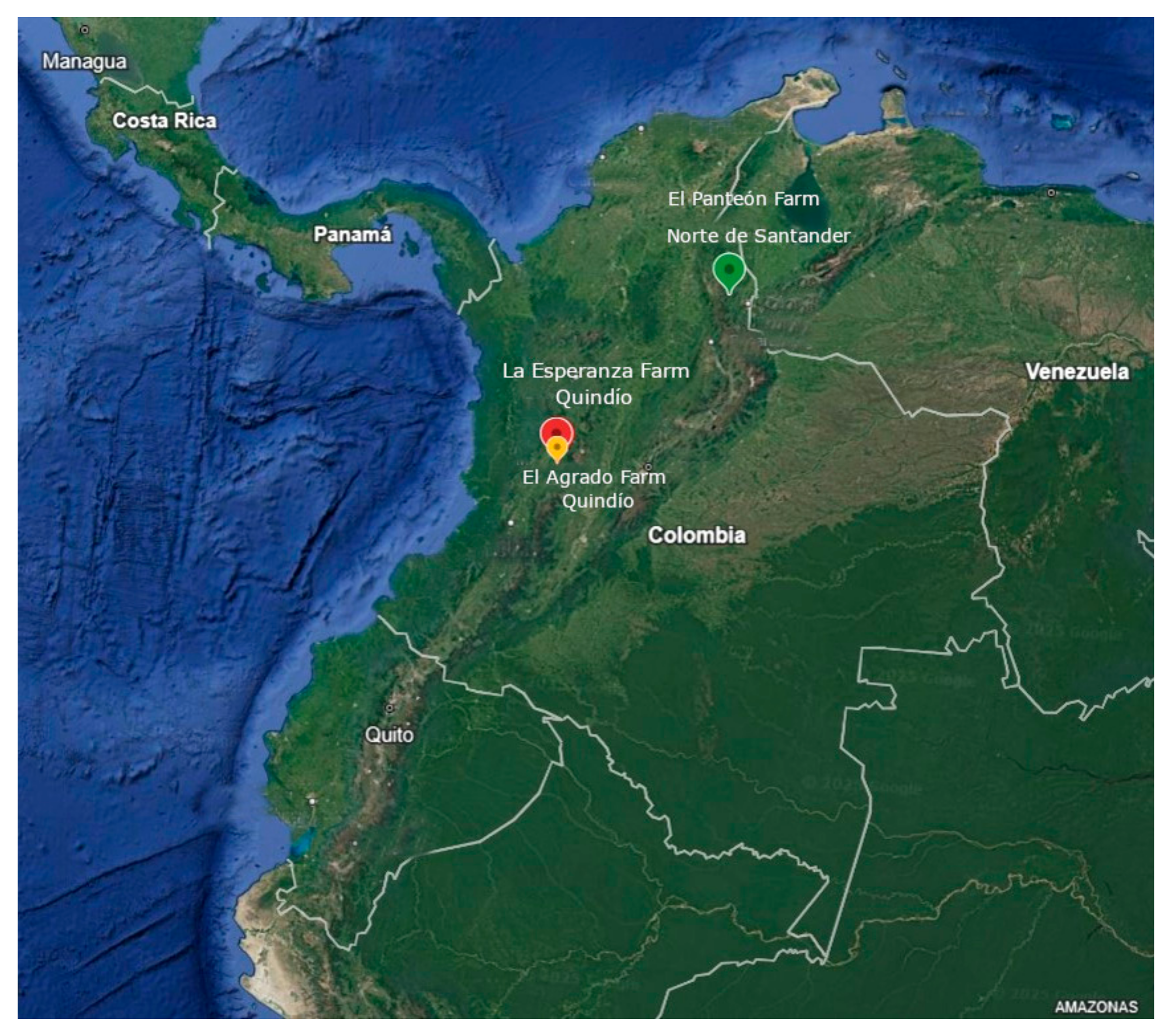 Agronomy 15 00551 g001