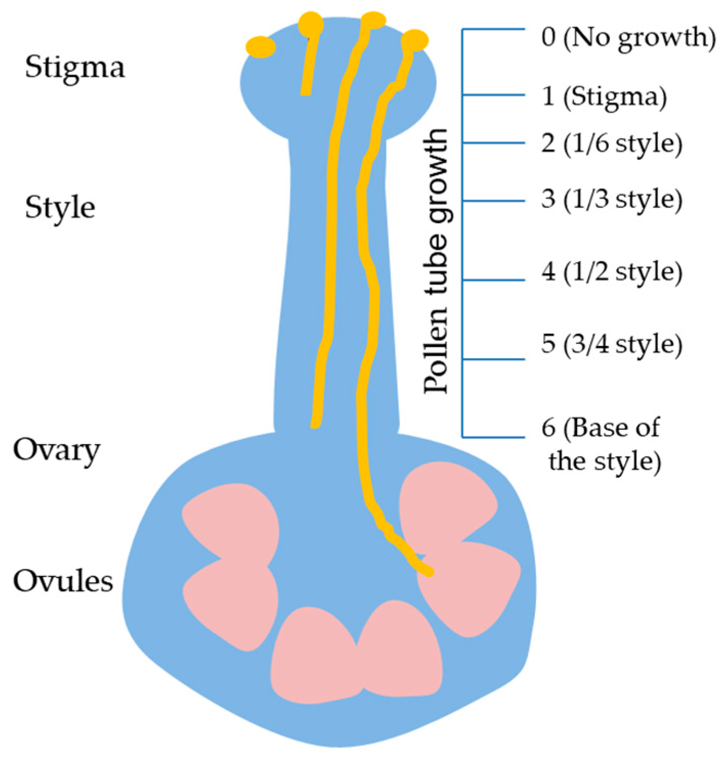 Agronomy 15 00552 g001