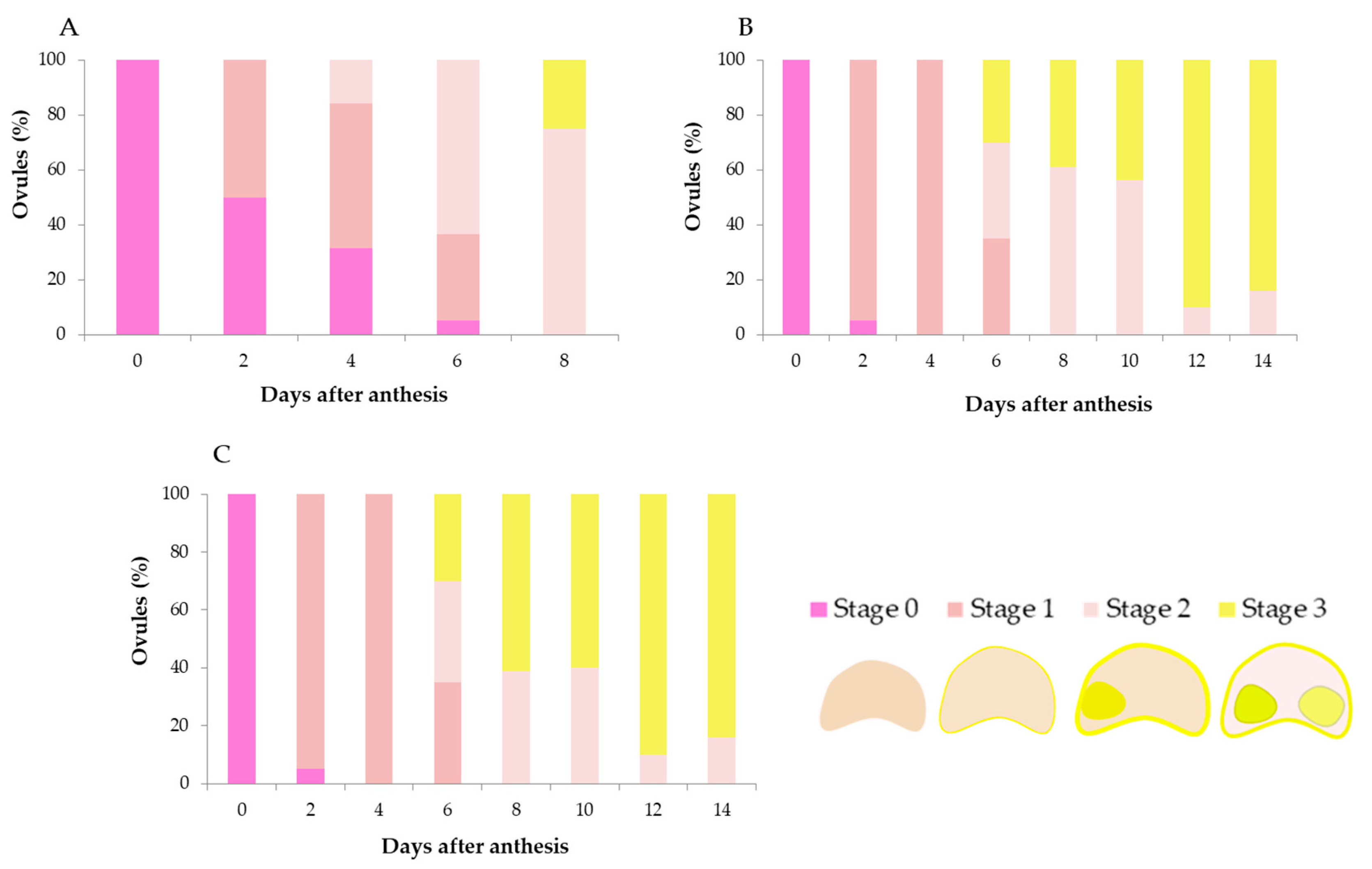 Agronomy 15 00552 g006