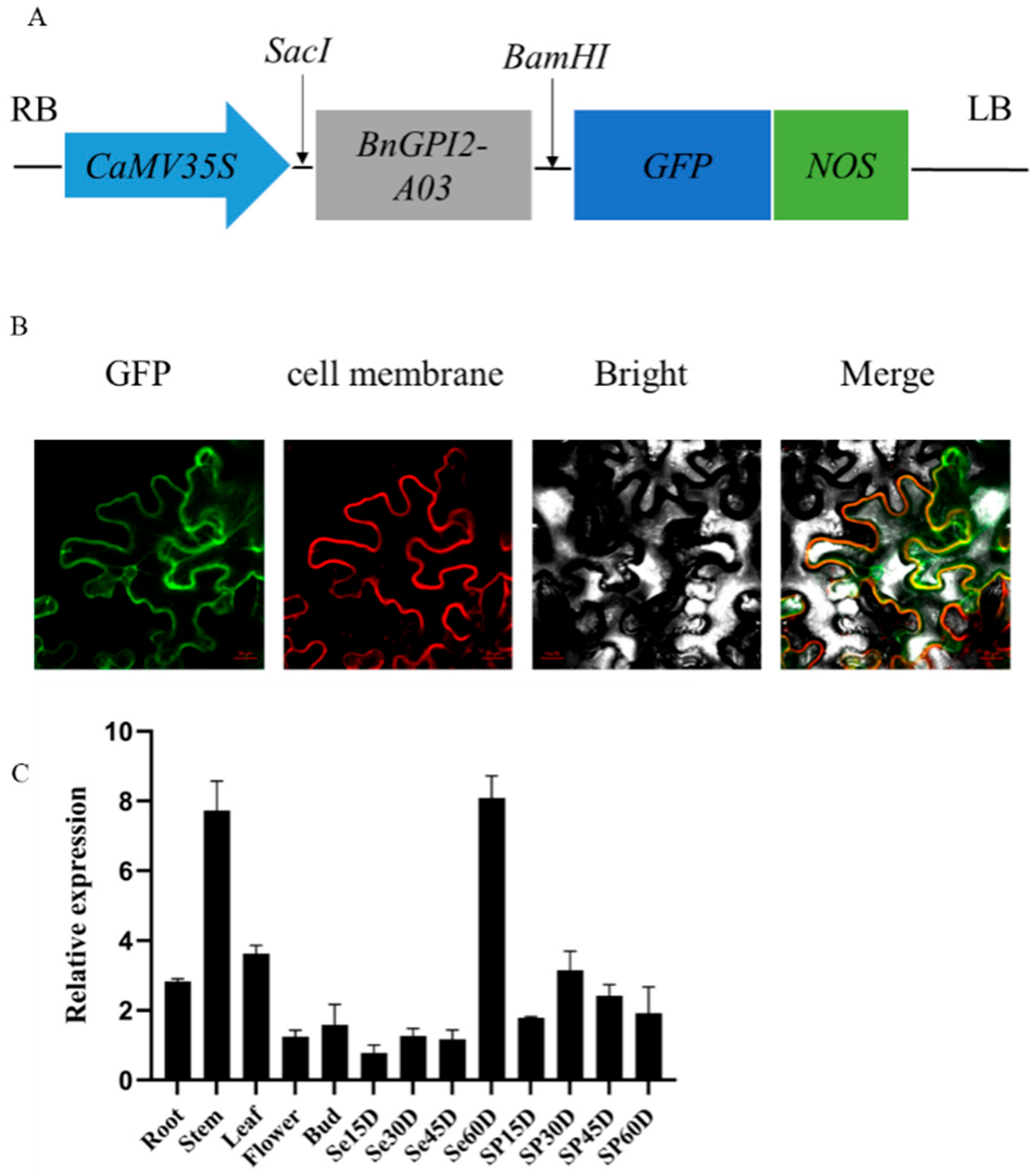Agronomy 15 00554 g002 Agronomy 15 00554 g002