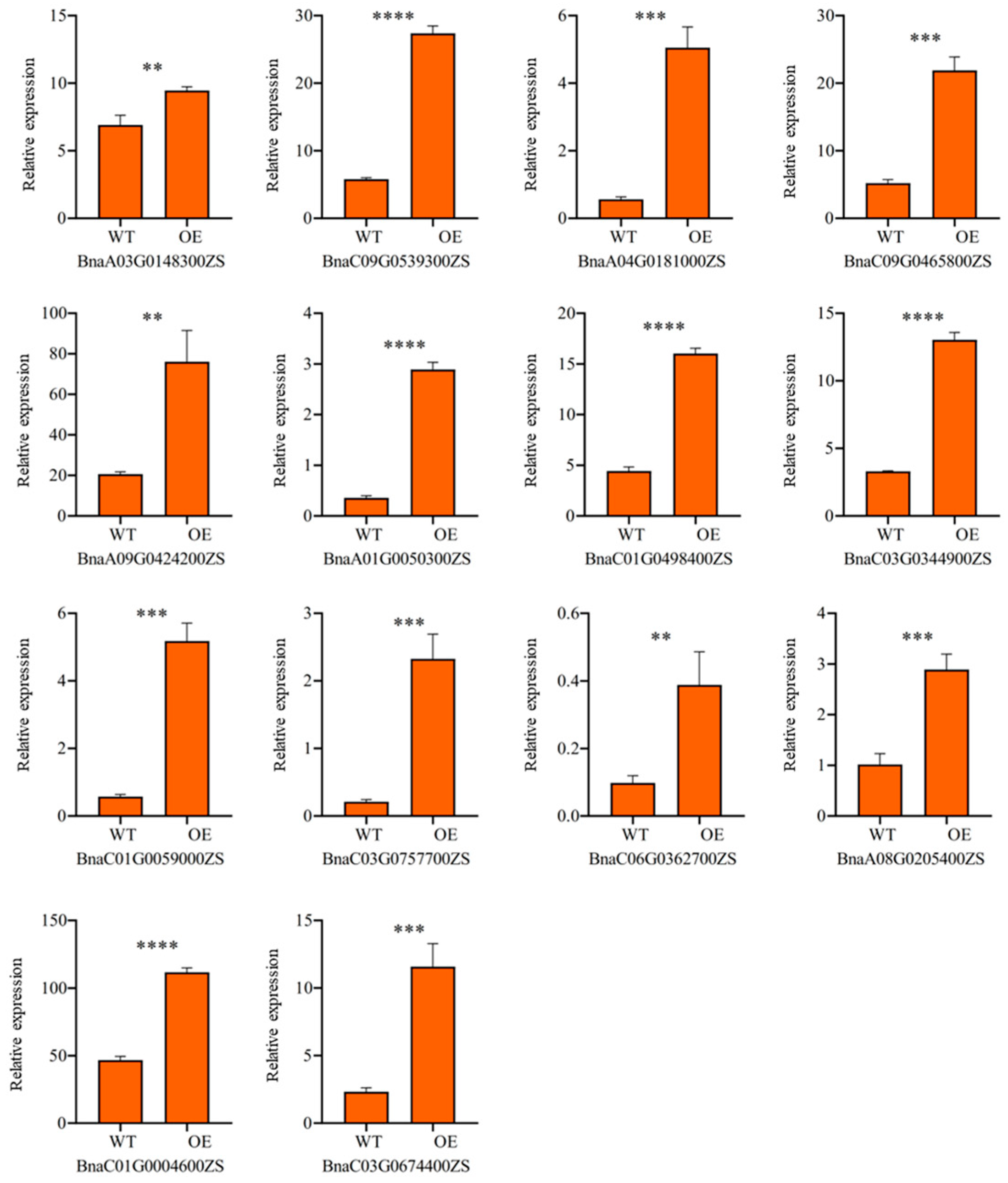 Agronomy 15 00554 g006 Agronomy 15 00554 g006