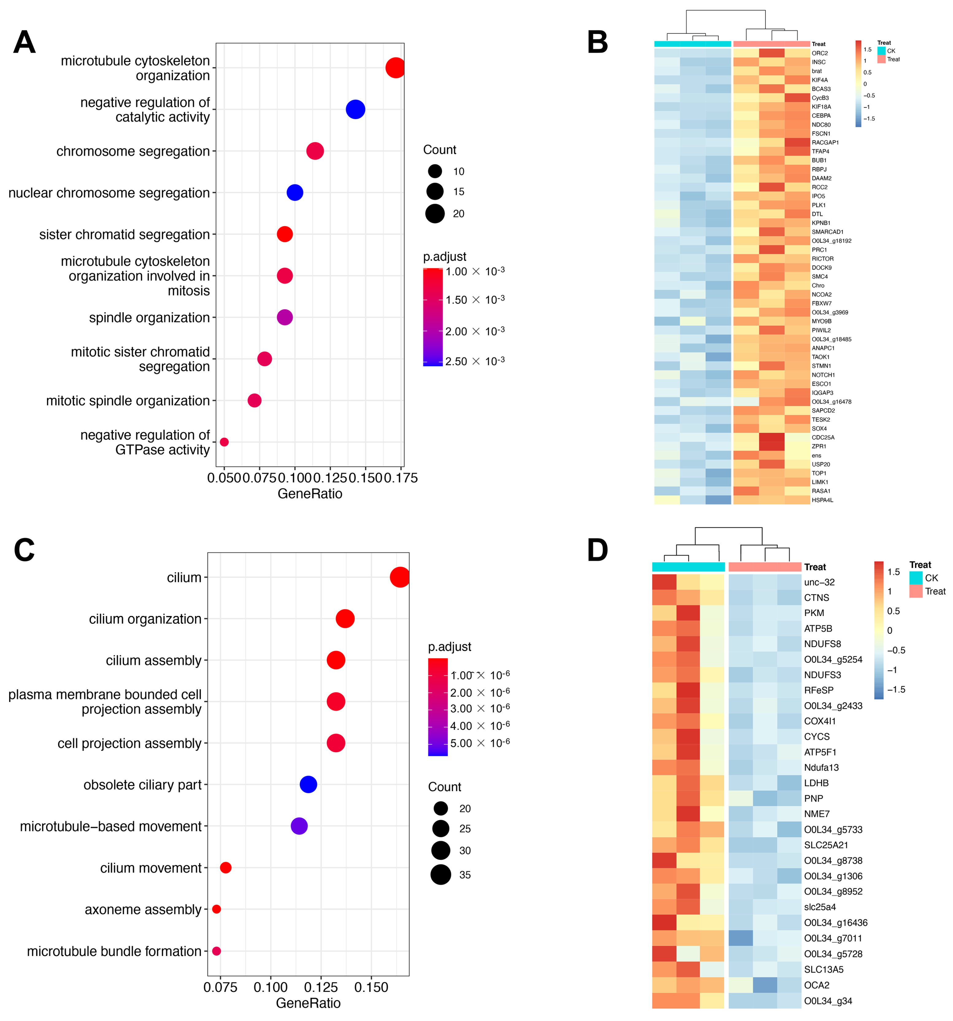 Agronomy 15 00561 g002