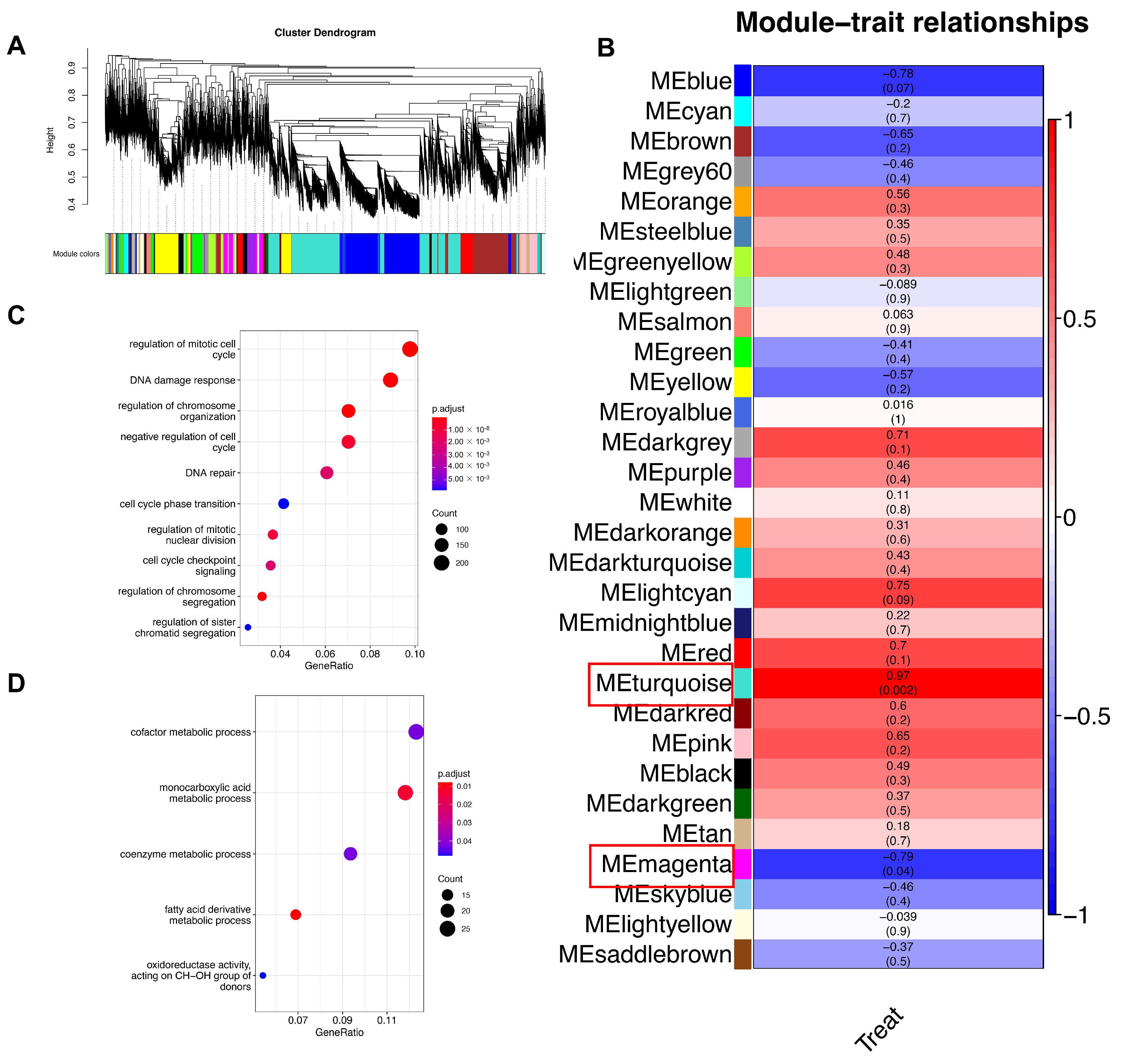 Agronomy 15 00561 g004