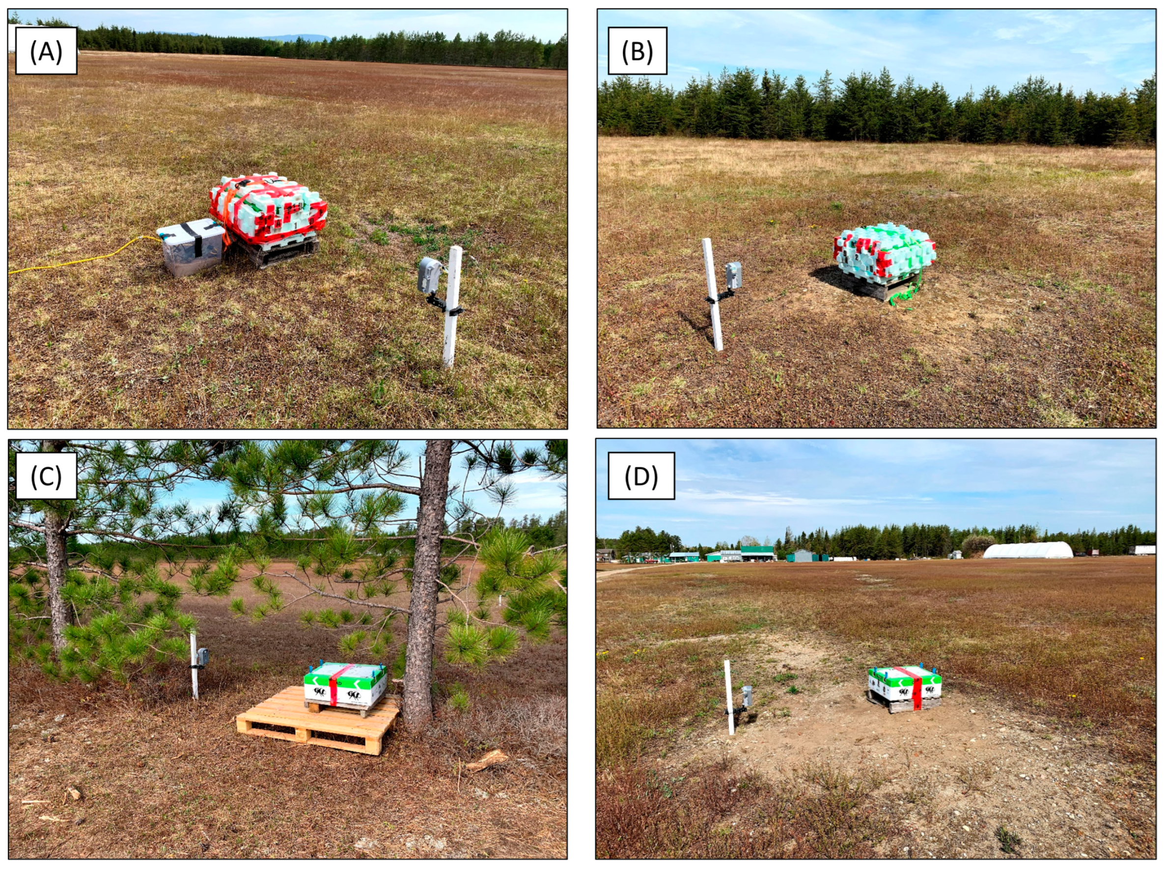 Agronomy 15 00562 g001