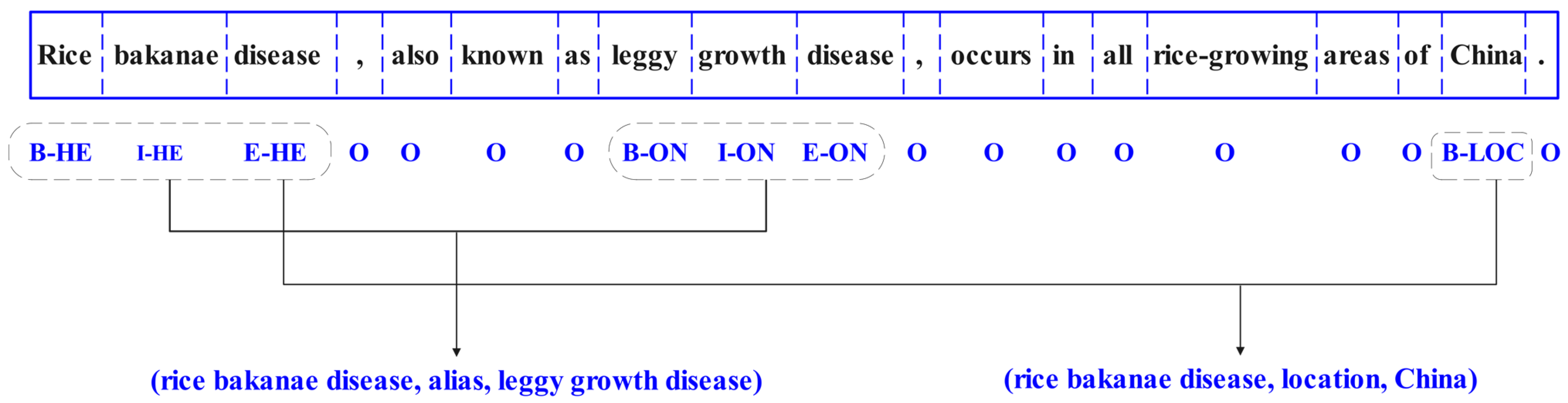 Agronomy 15 00566 g005