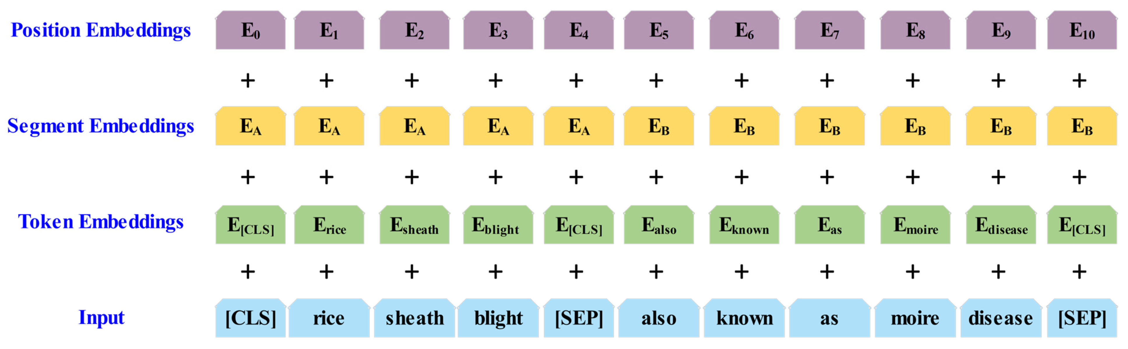 Agronomy 15 00566 g010