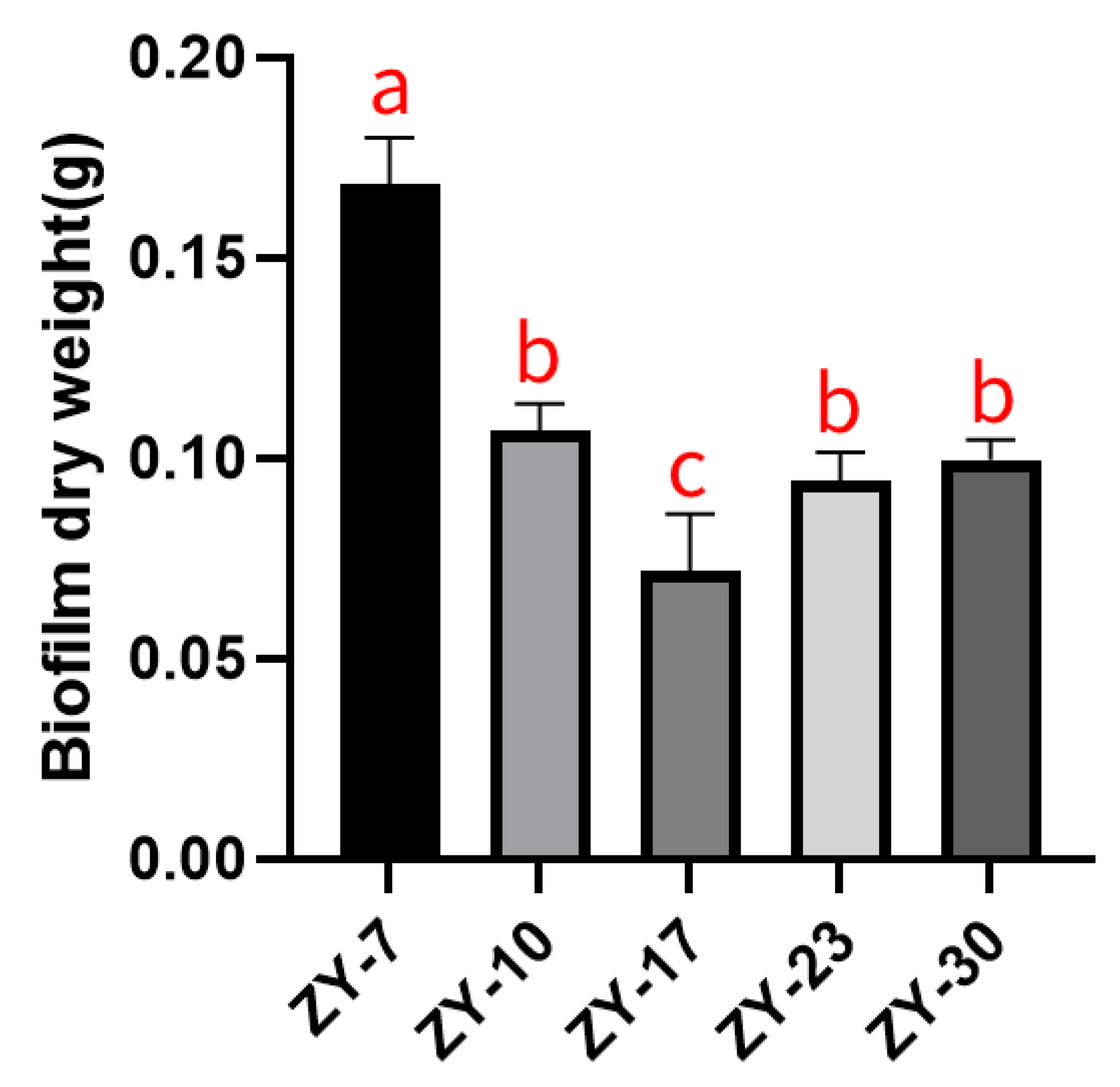 Agronomy 15 00568 g001