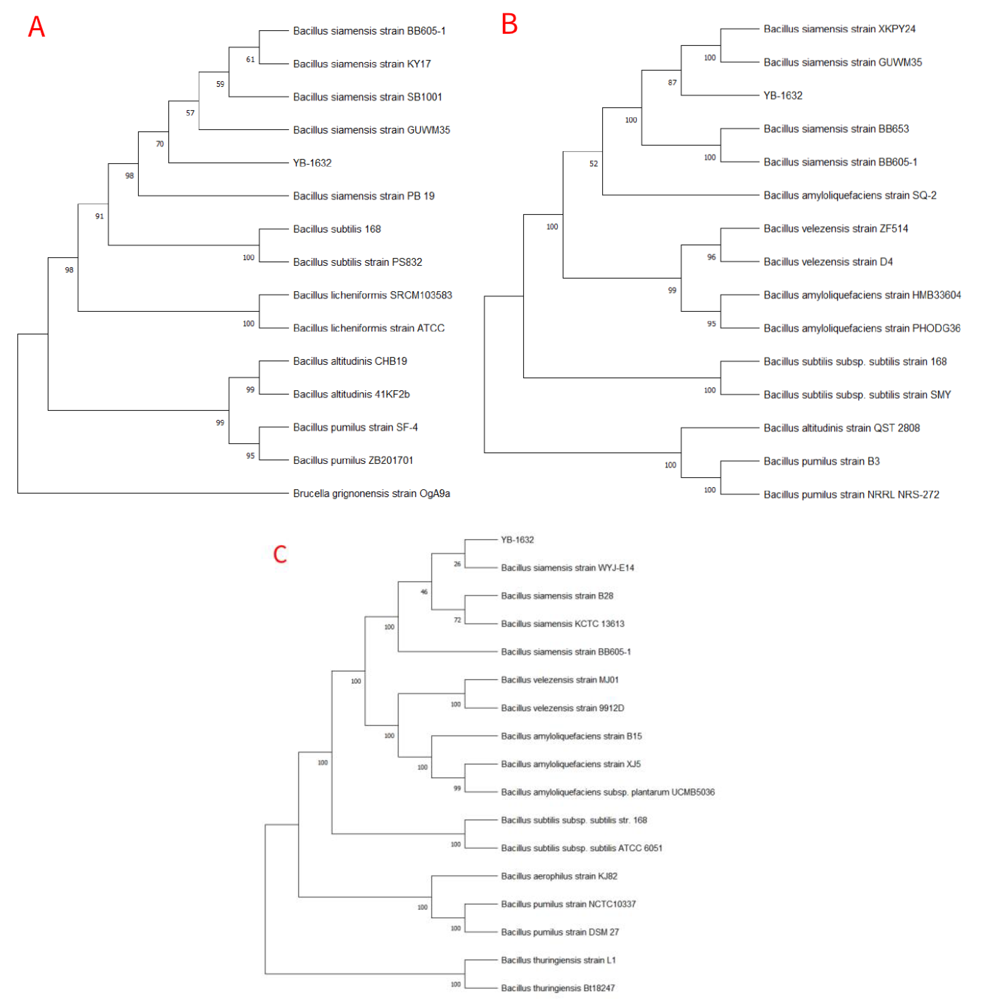 Agronomy 15 00568 g002