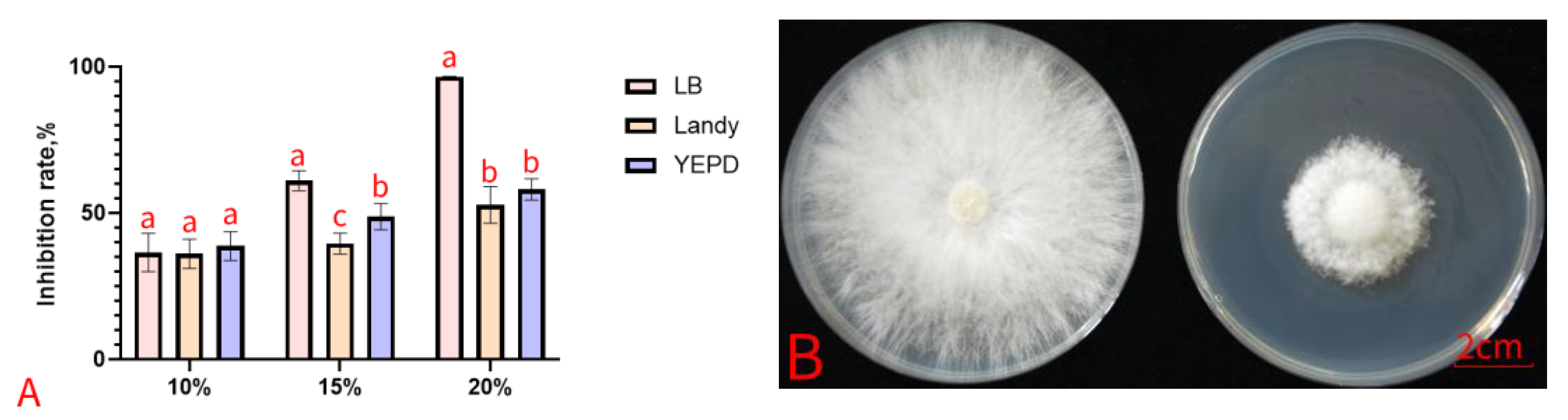 Agronomy 15 00568 g003