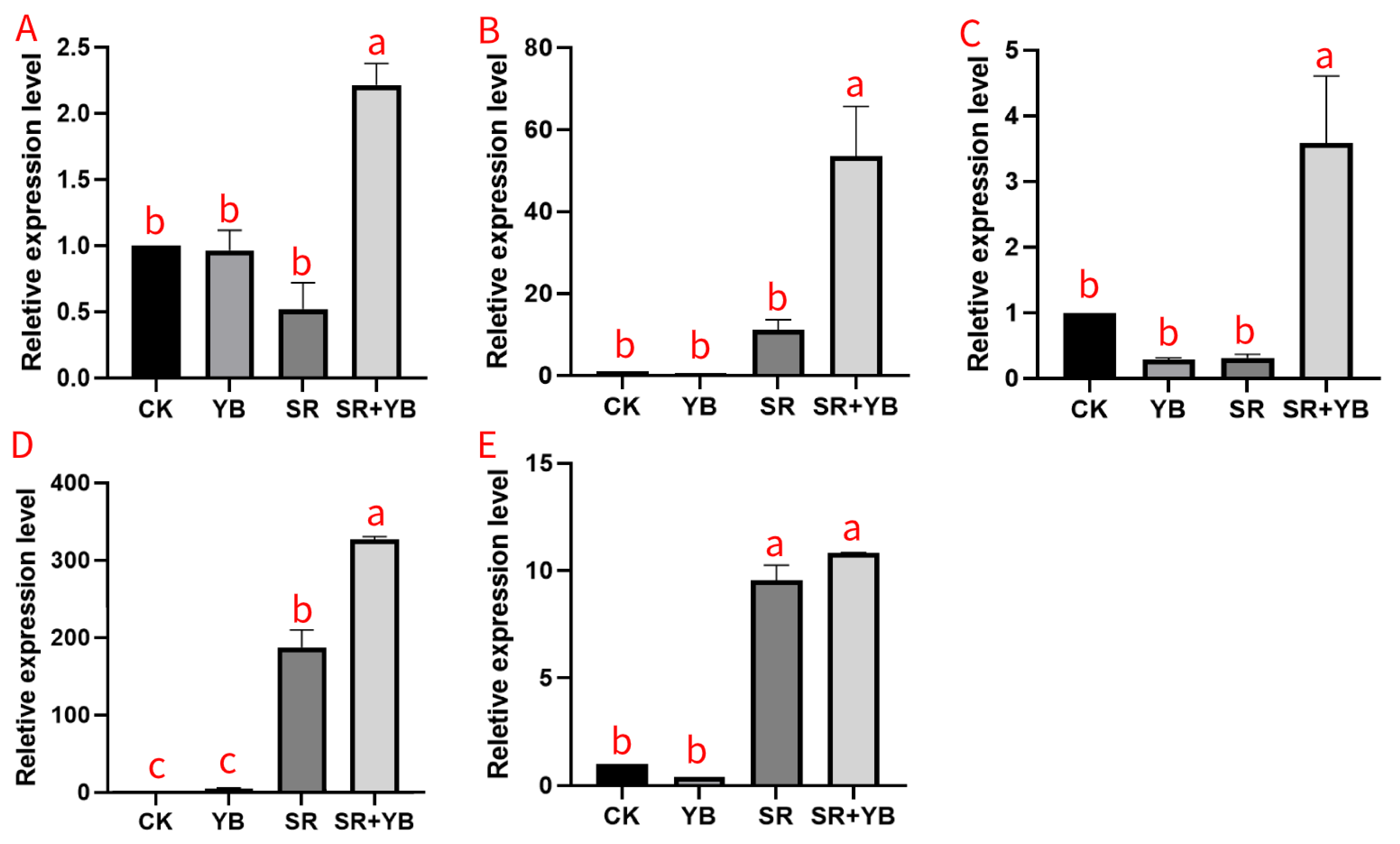 Agronomy 15 00568 g005