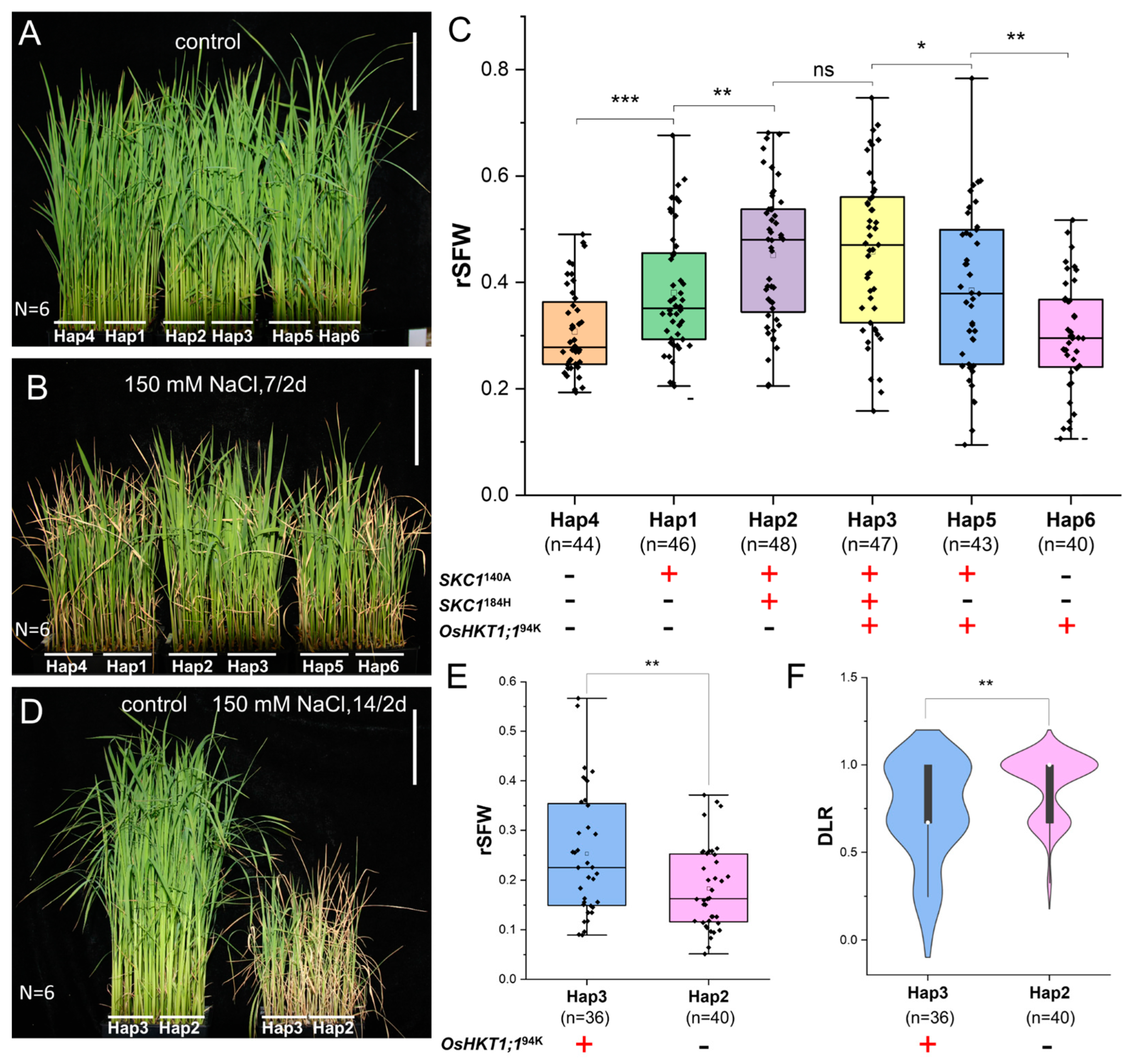 Agronomy 15 00570 g002
