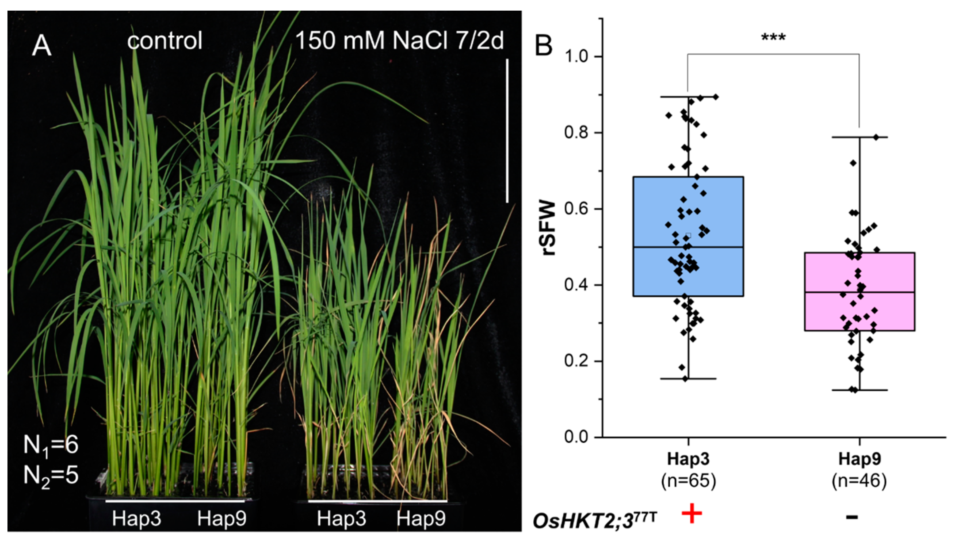 Agronomy 15 00570 g003