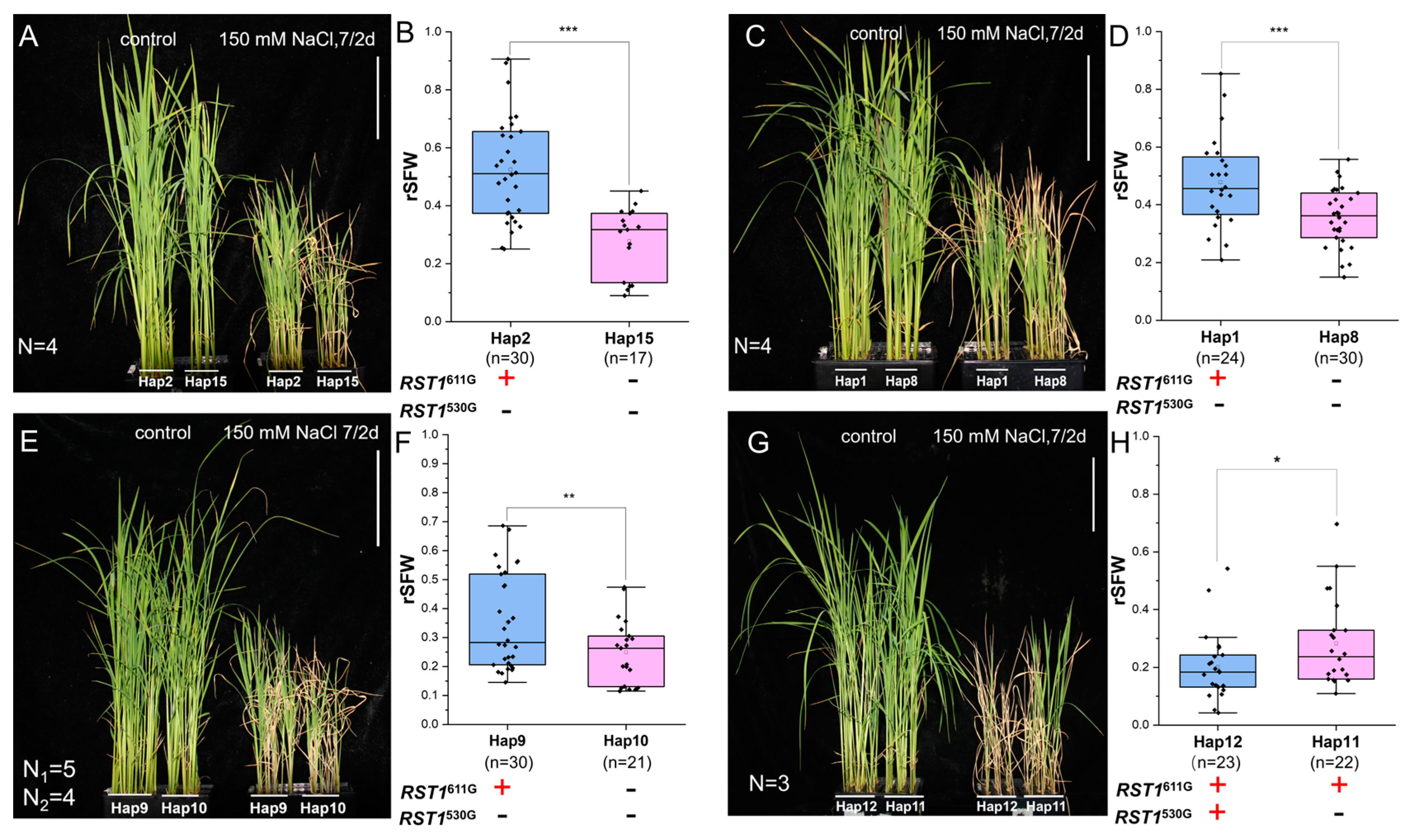 Agronomy 15 00570 g004