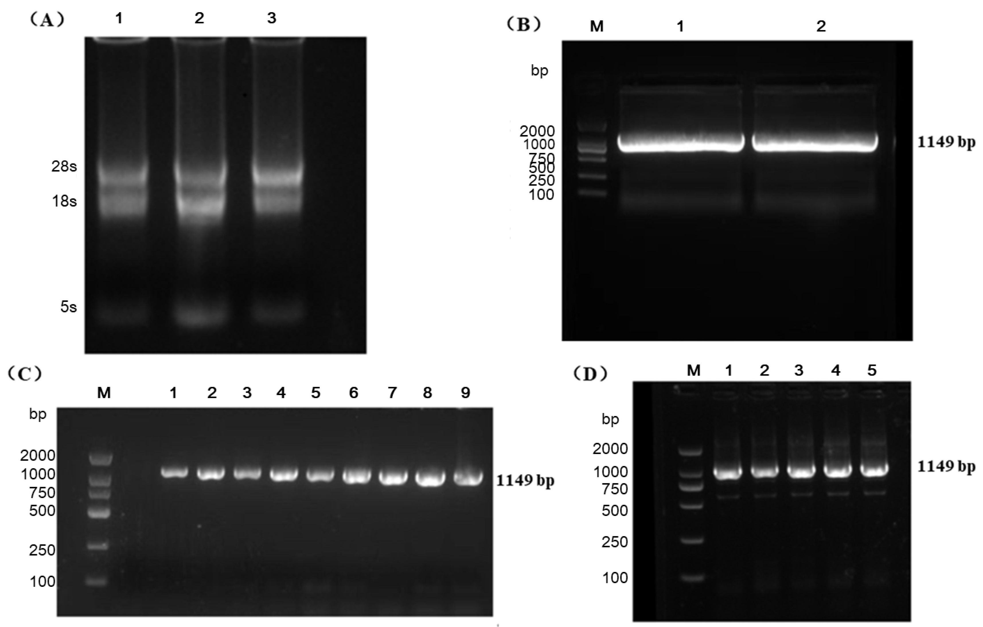 Agronomy 15 00574 g002