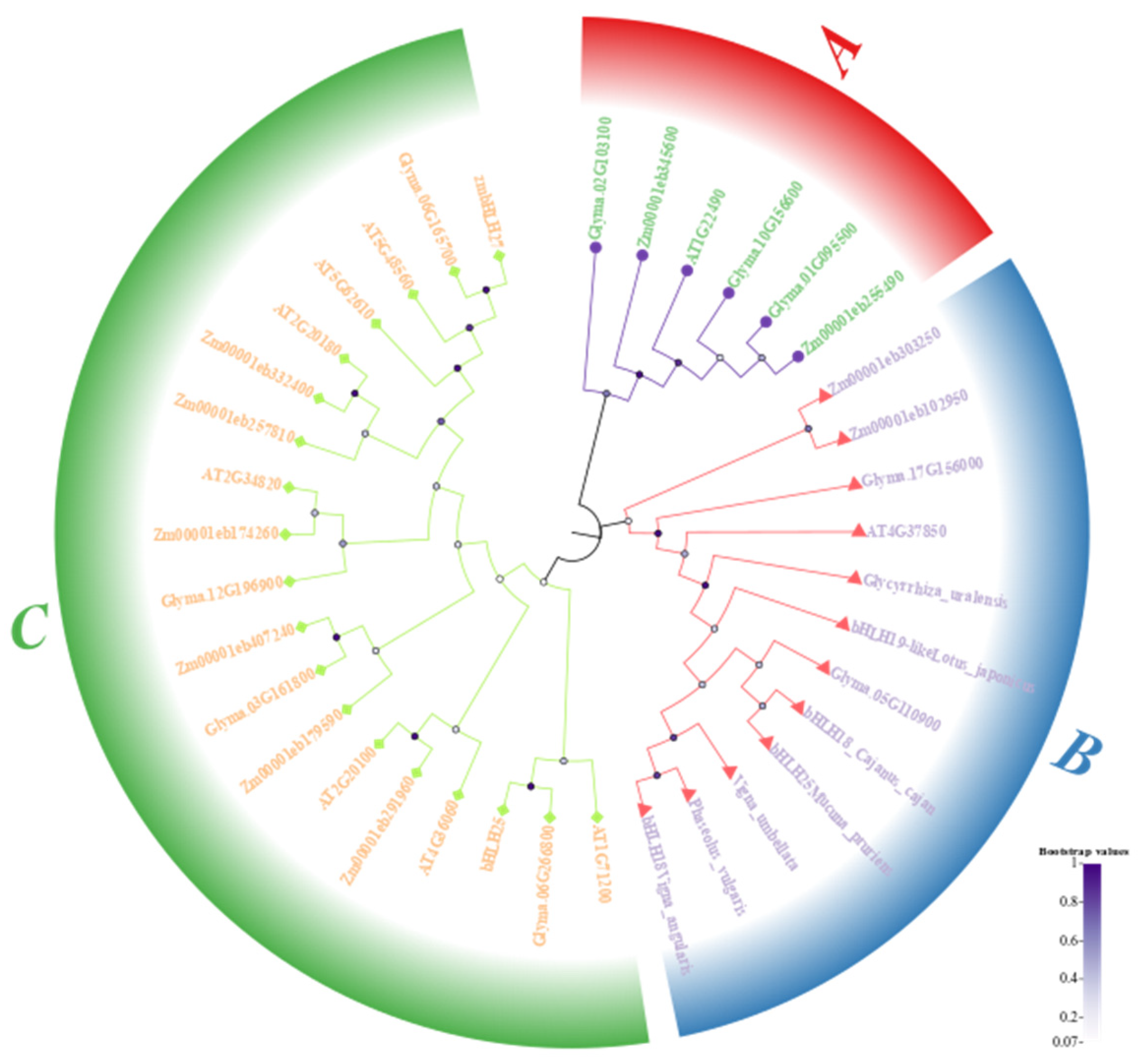 Agronomy 15 00574 g003