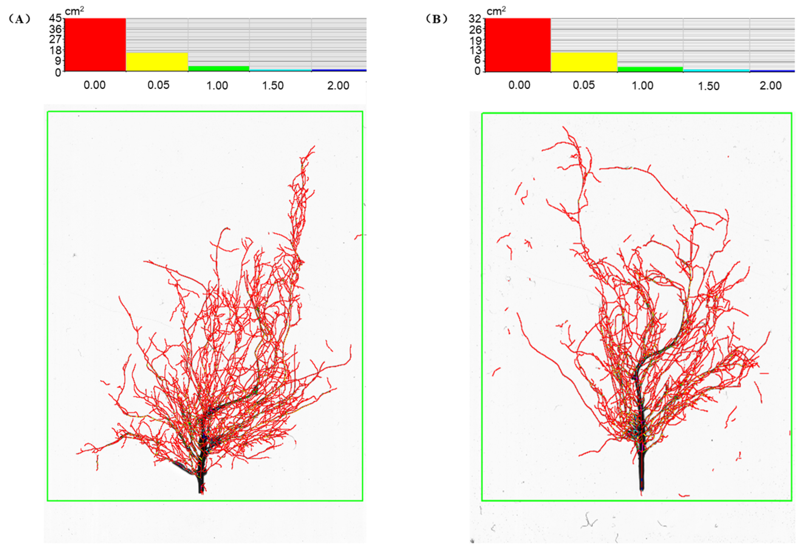 Agronomy 15 00574 g006