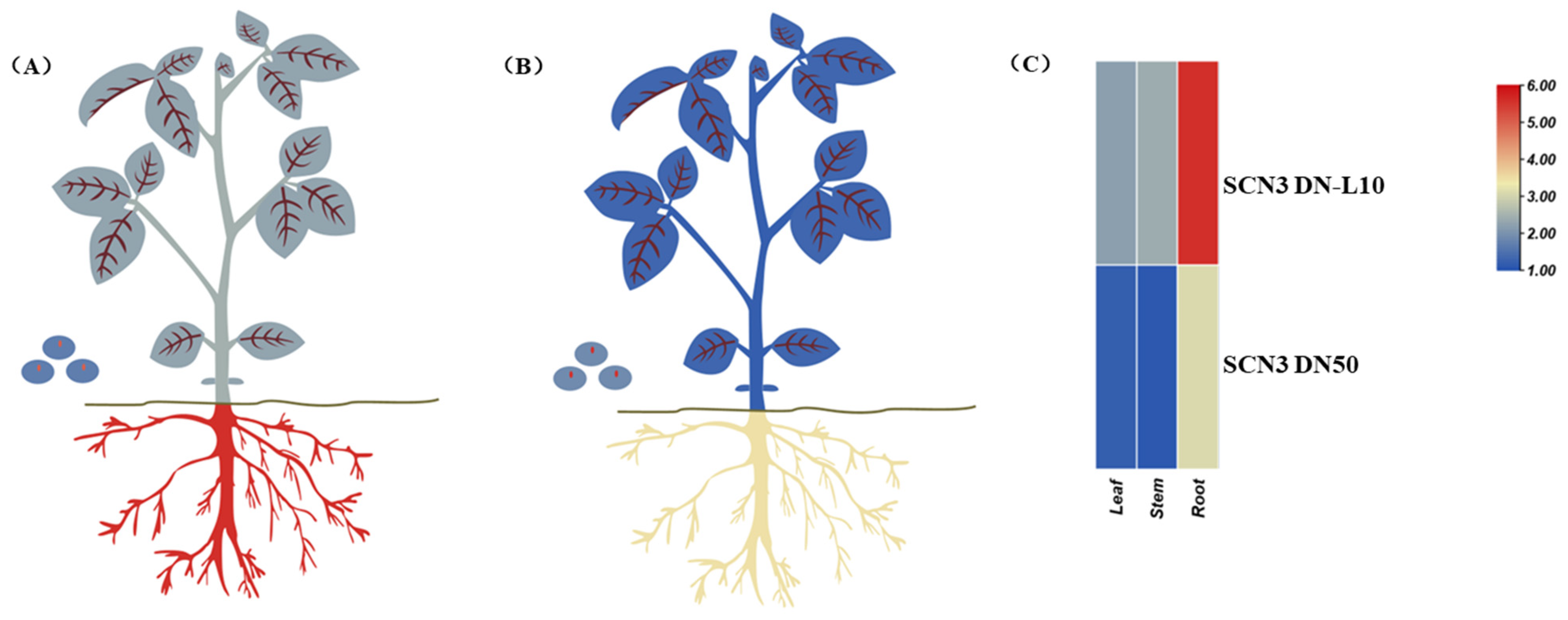 Agronomy 15 00574 g008
