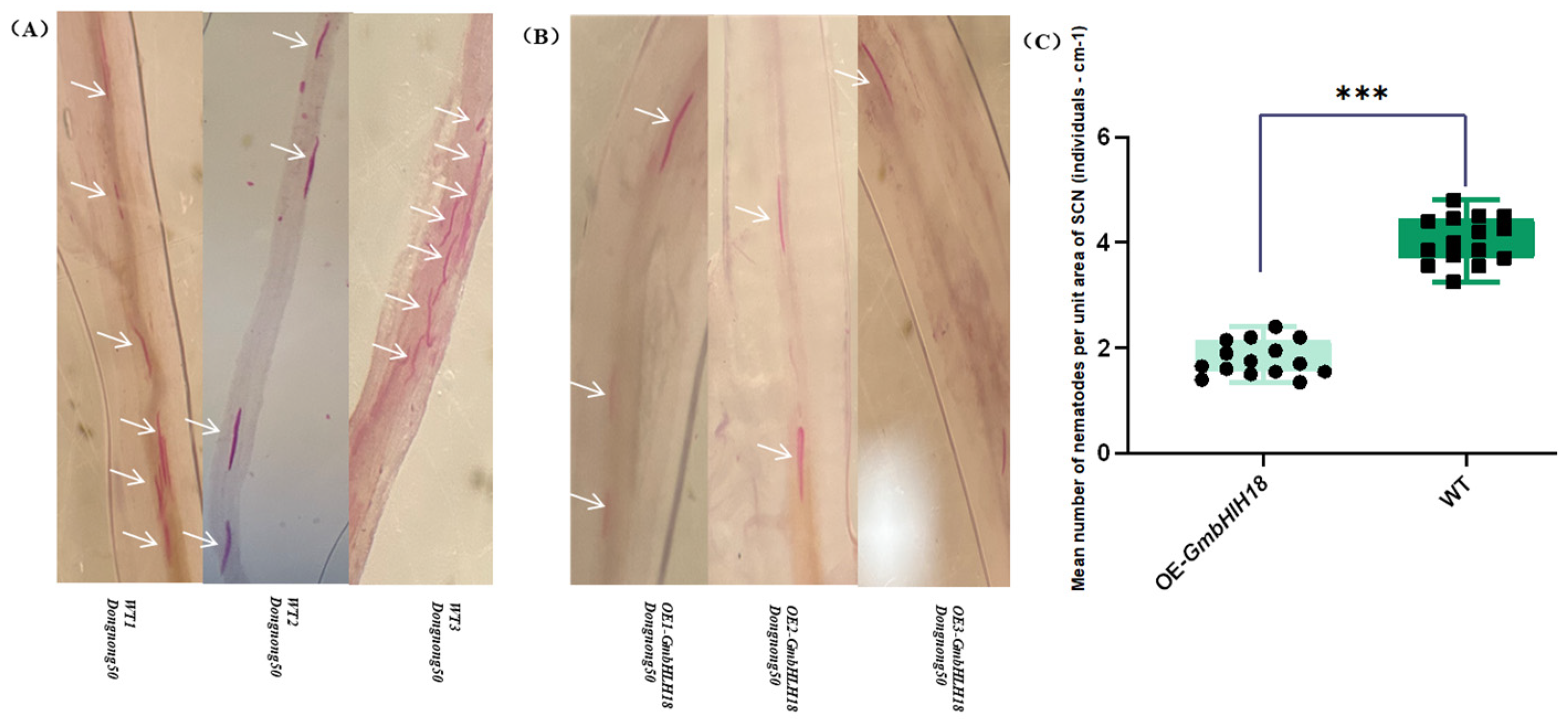 Agronomy 15 00574 g010